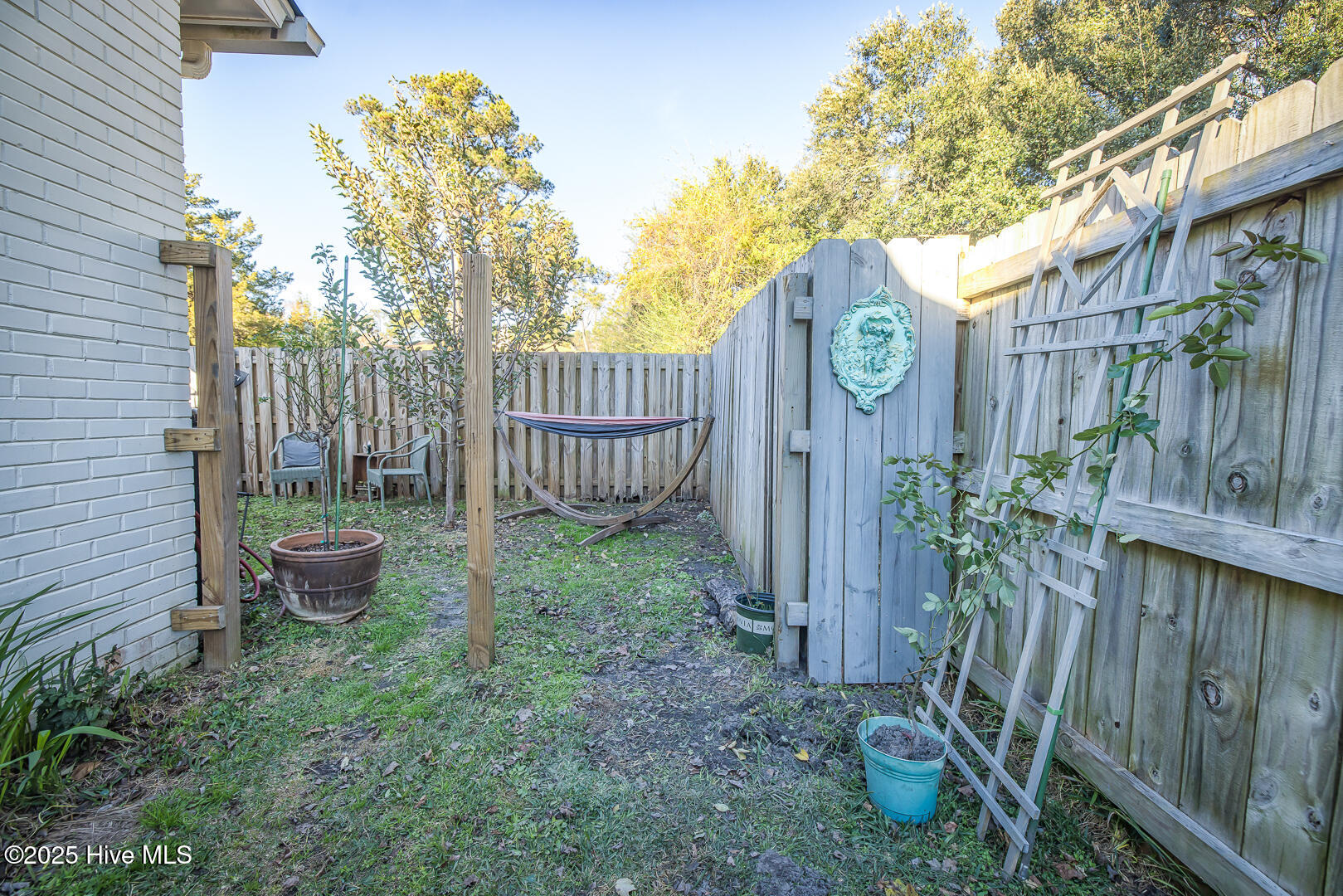 100556956 | Photo 63