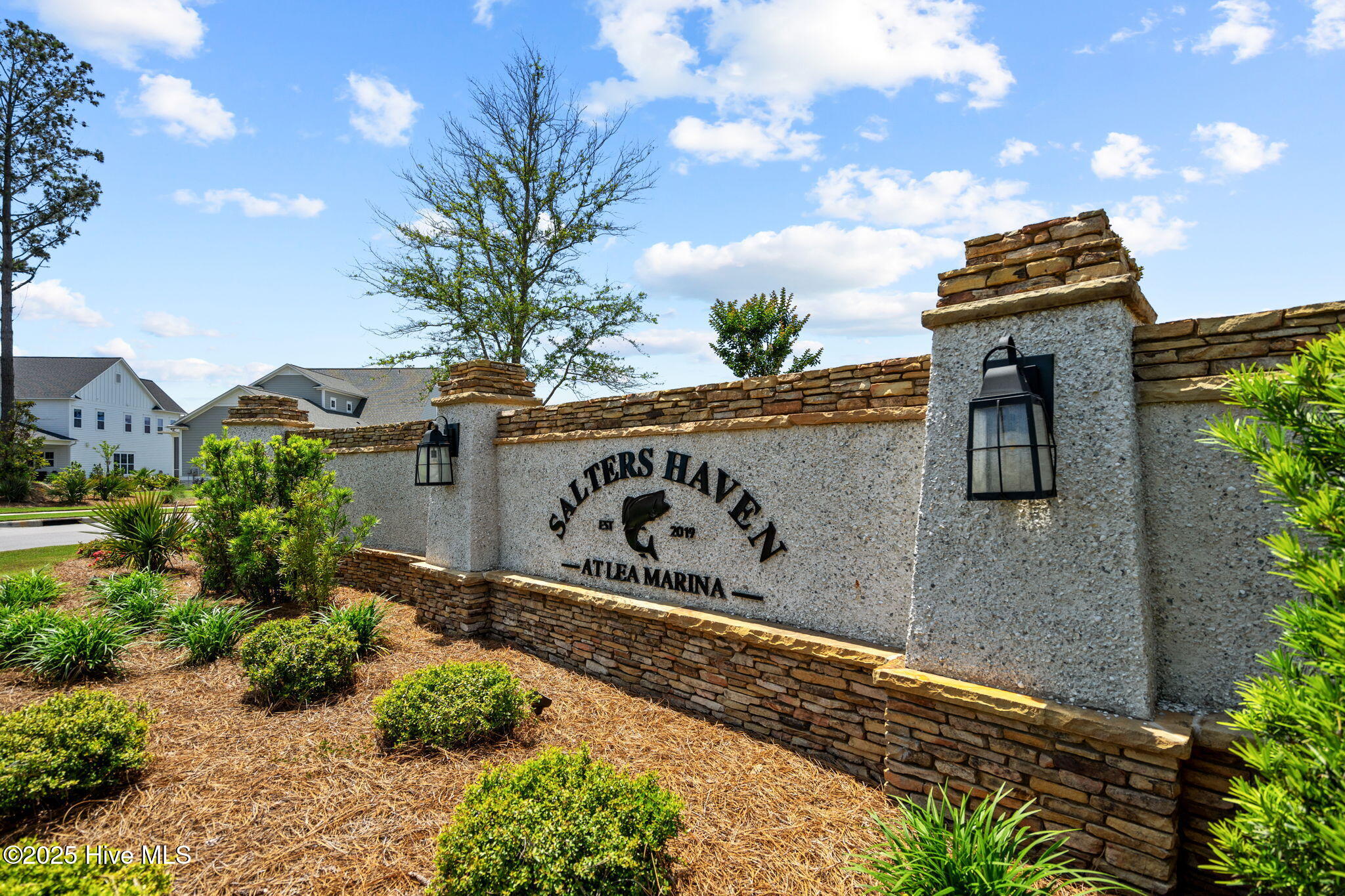 100536162 | Photo 86