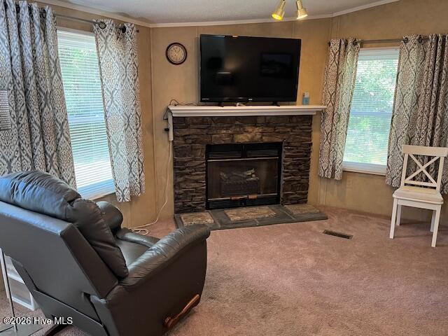 100560575 | Photo 14