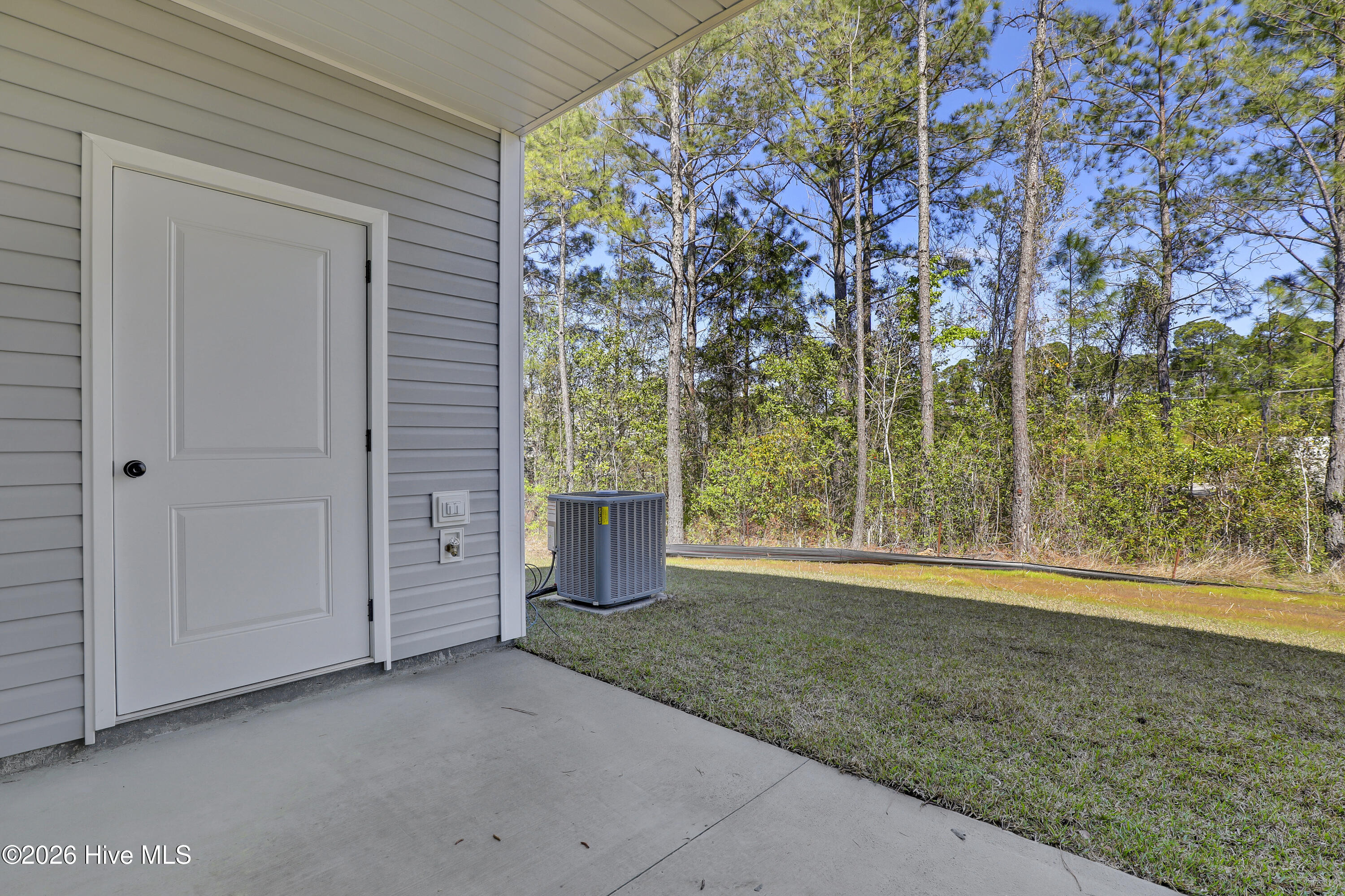 100537571 | Photo 25