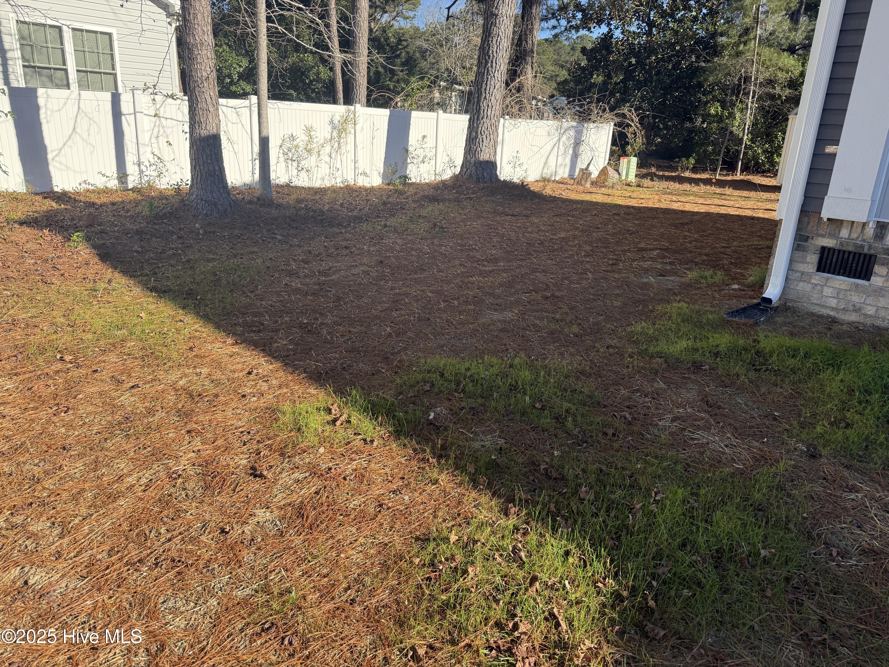 100482420 | Photo 30