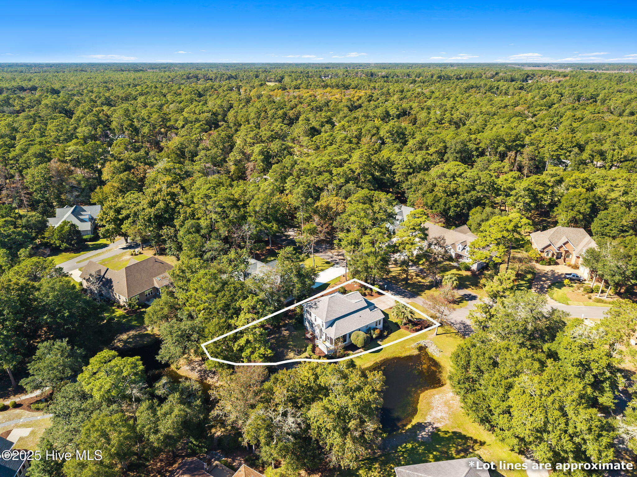 100537506 | Photo 67