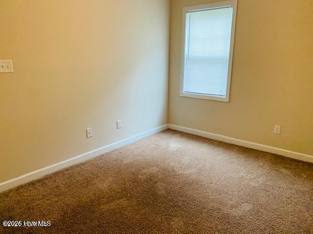 100554241 | Photo 12