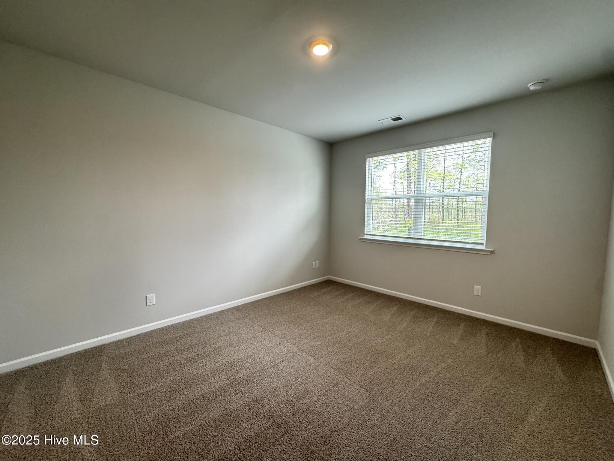 100565961 | Photo 16