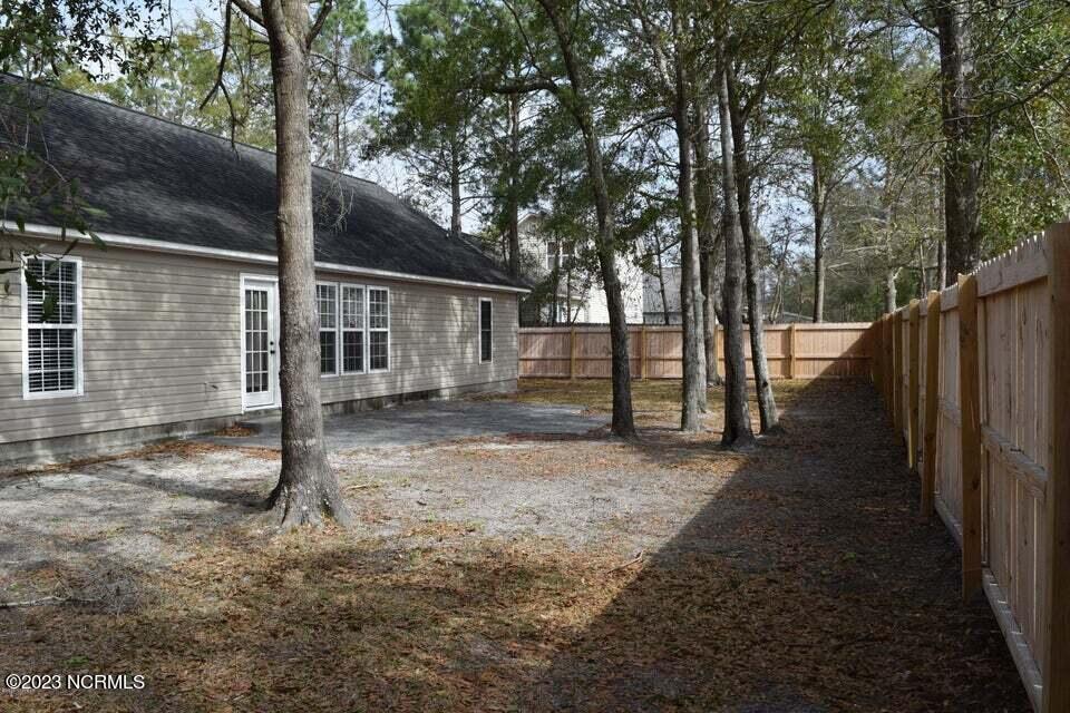 100557882 | Photo 17