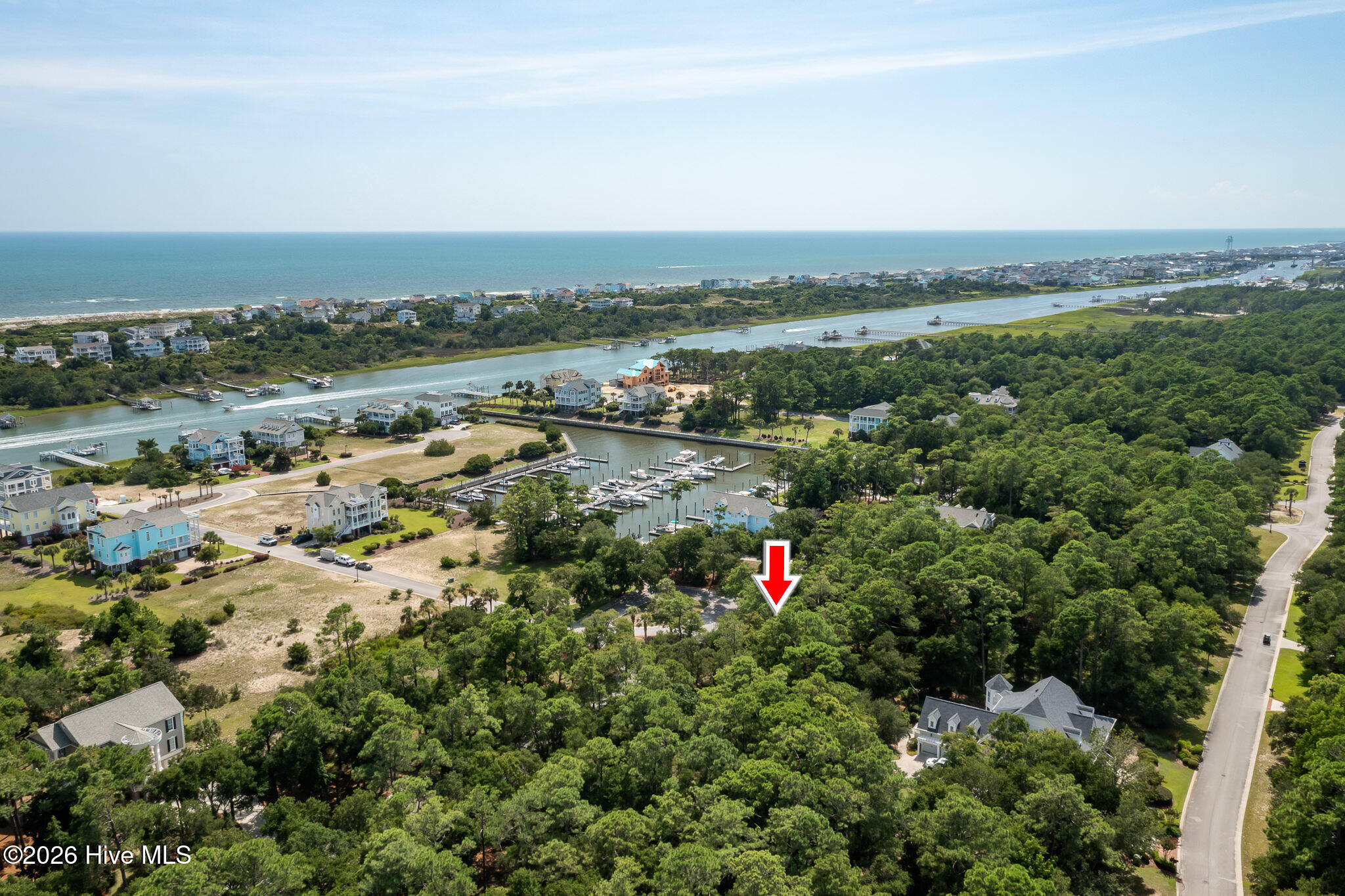 100559457 | Photo 12