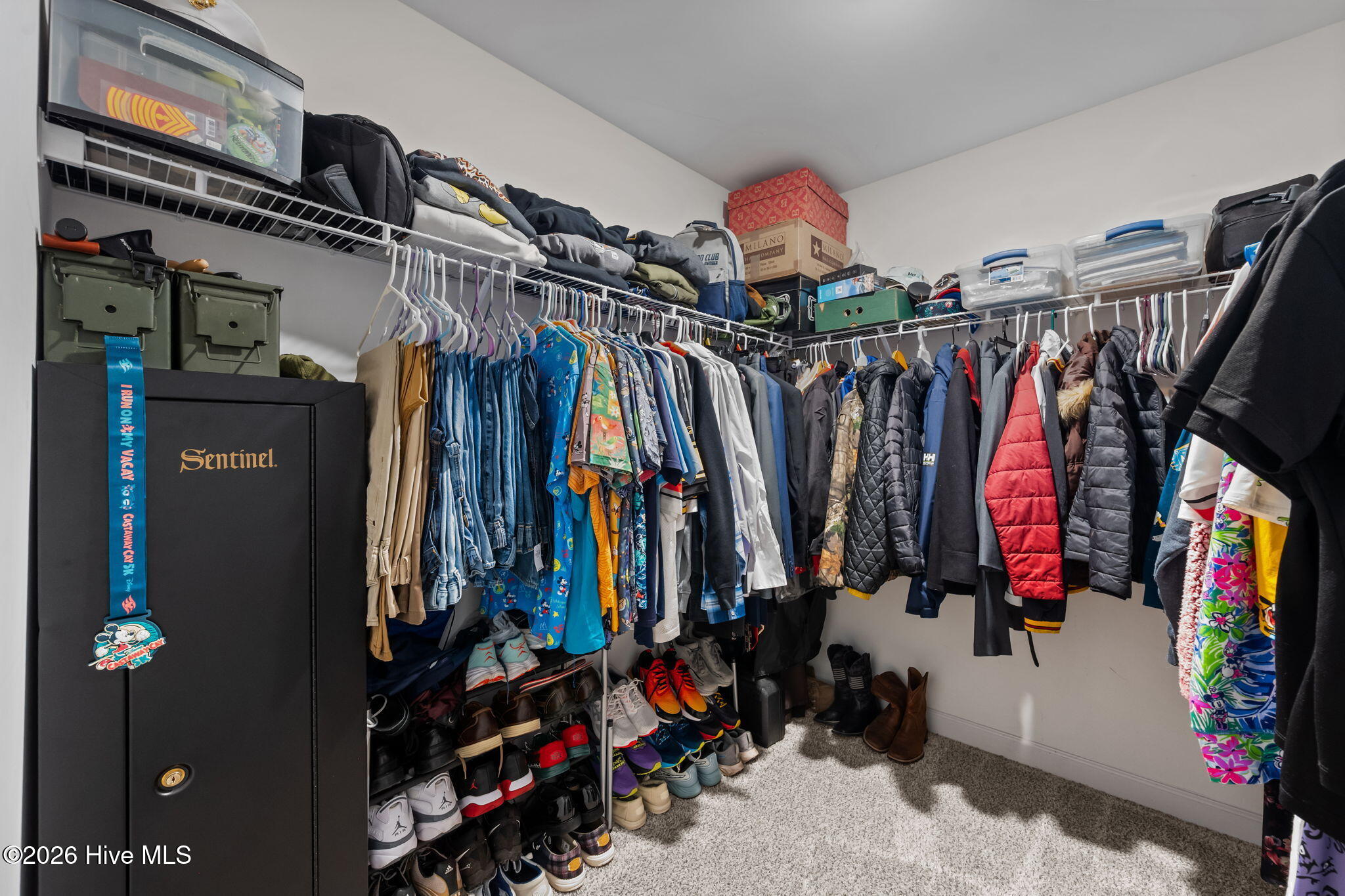 100548485 | Photo 20