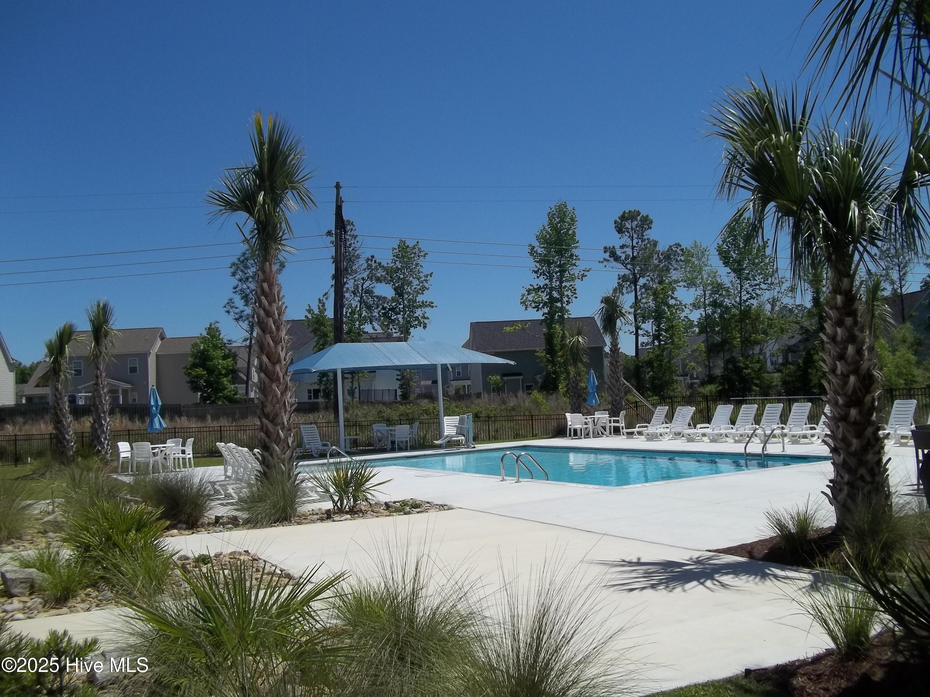 100538421 | Photo 29