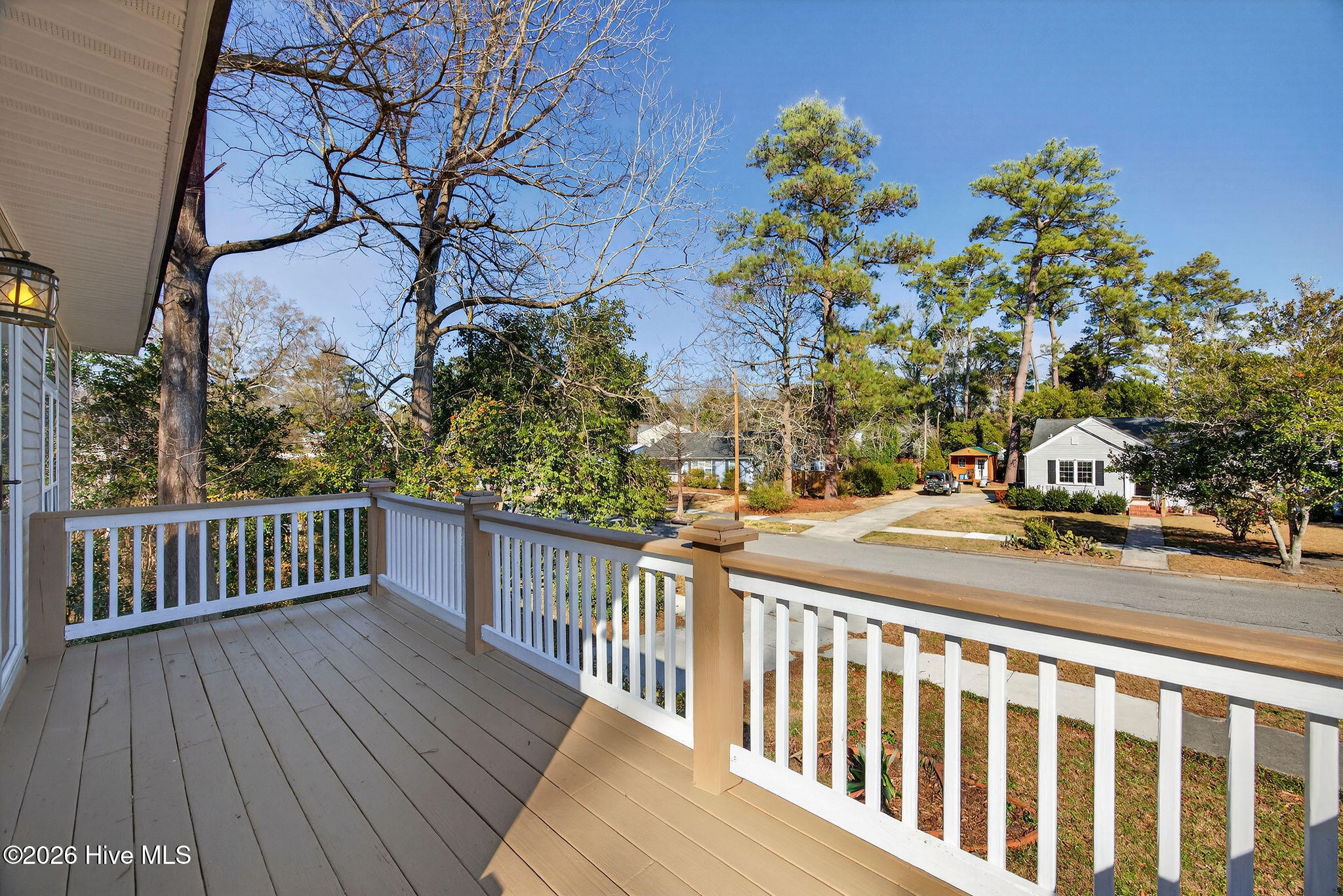 100551294 | Photo 24