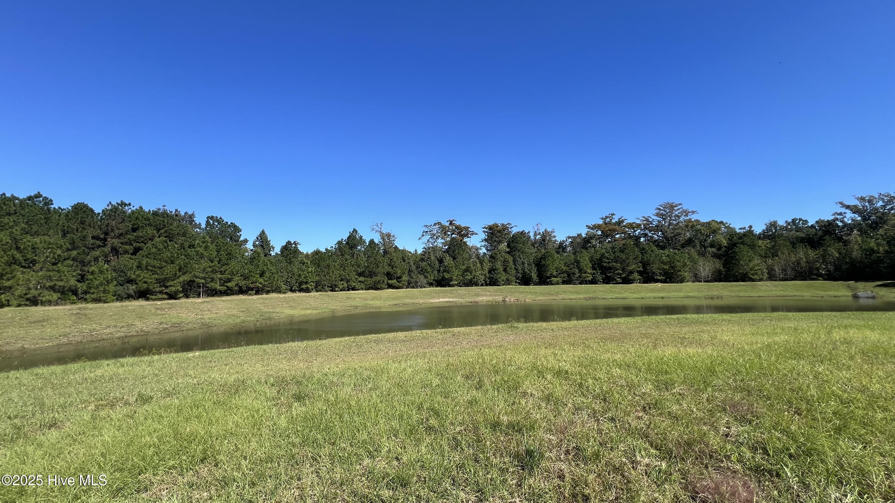 100538971 | Photo 10