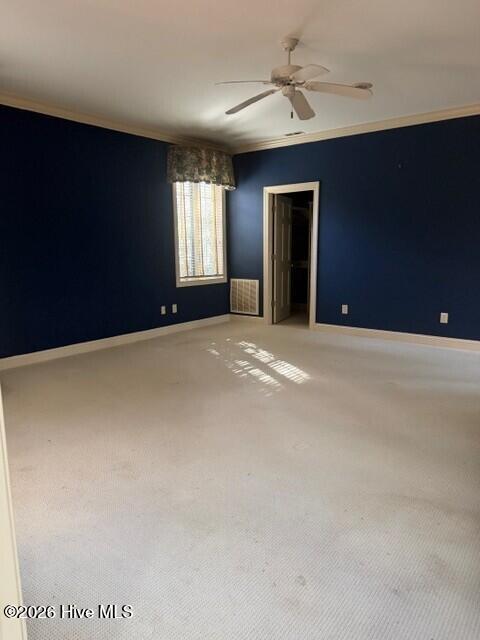 100551549 | Photo 19