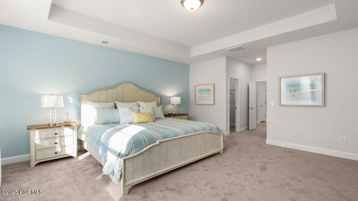 100559117 | Photo 16