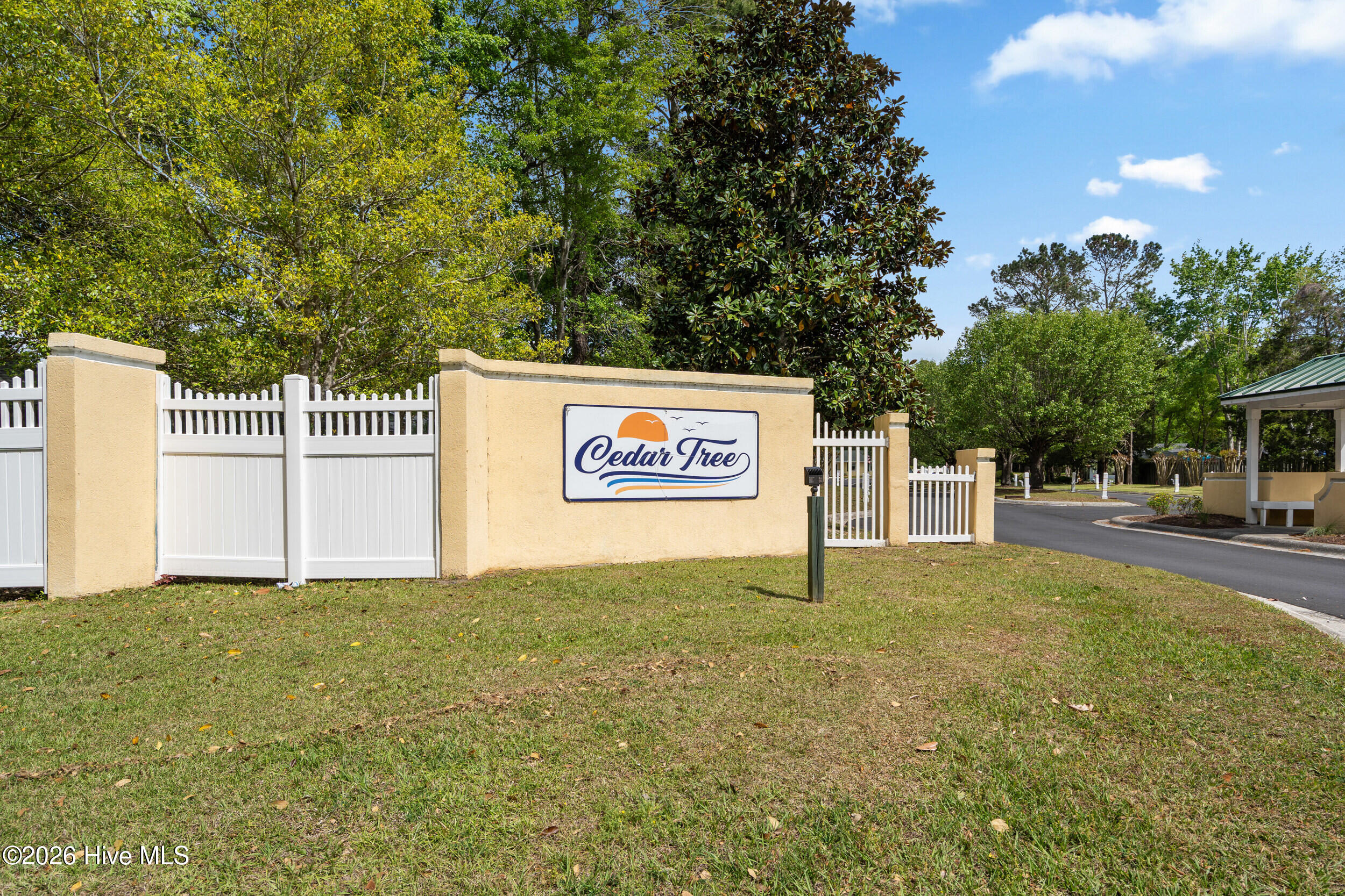 100566575 | Photo 43