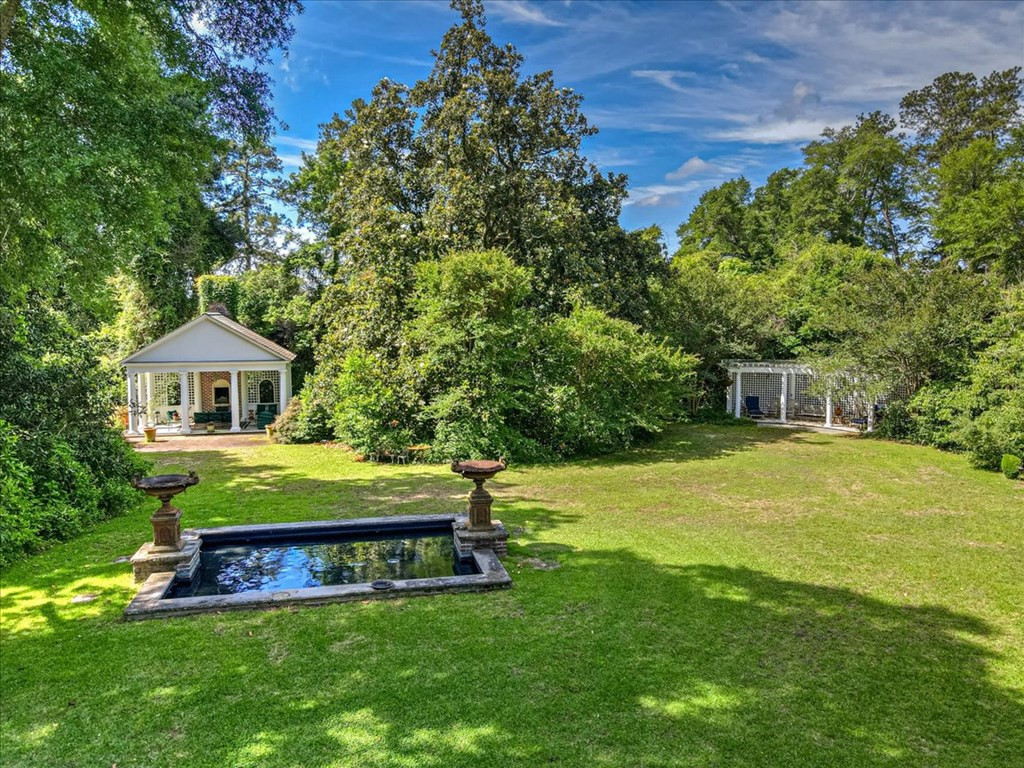 Expansive backyard