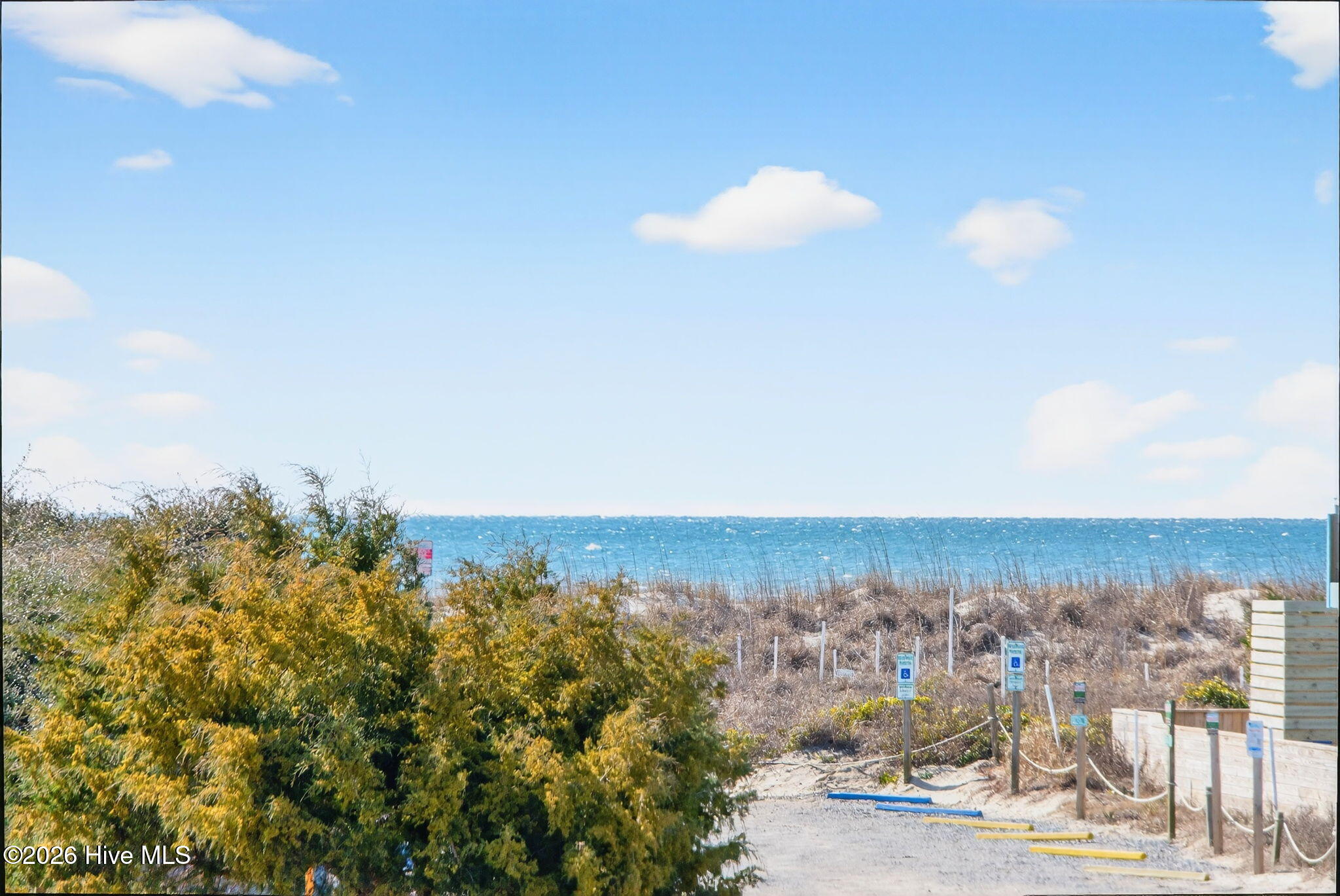 100556711 | Photo 44