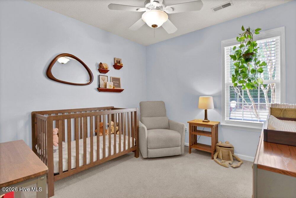 100551608 | Photo 24