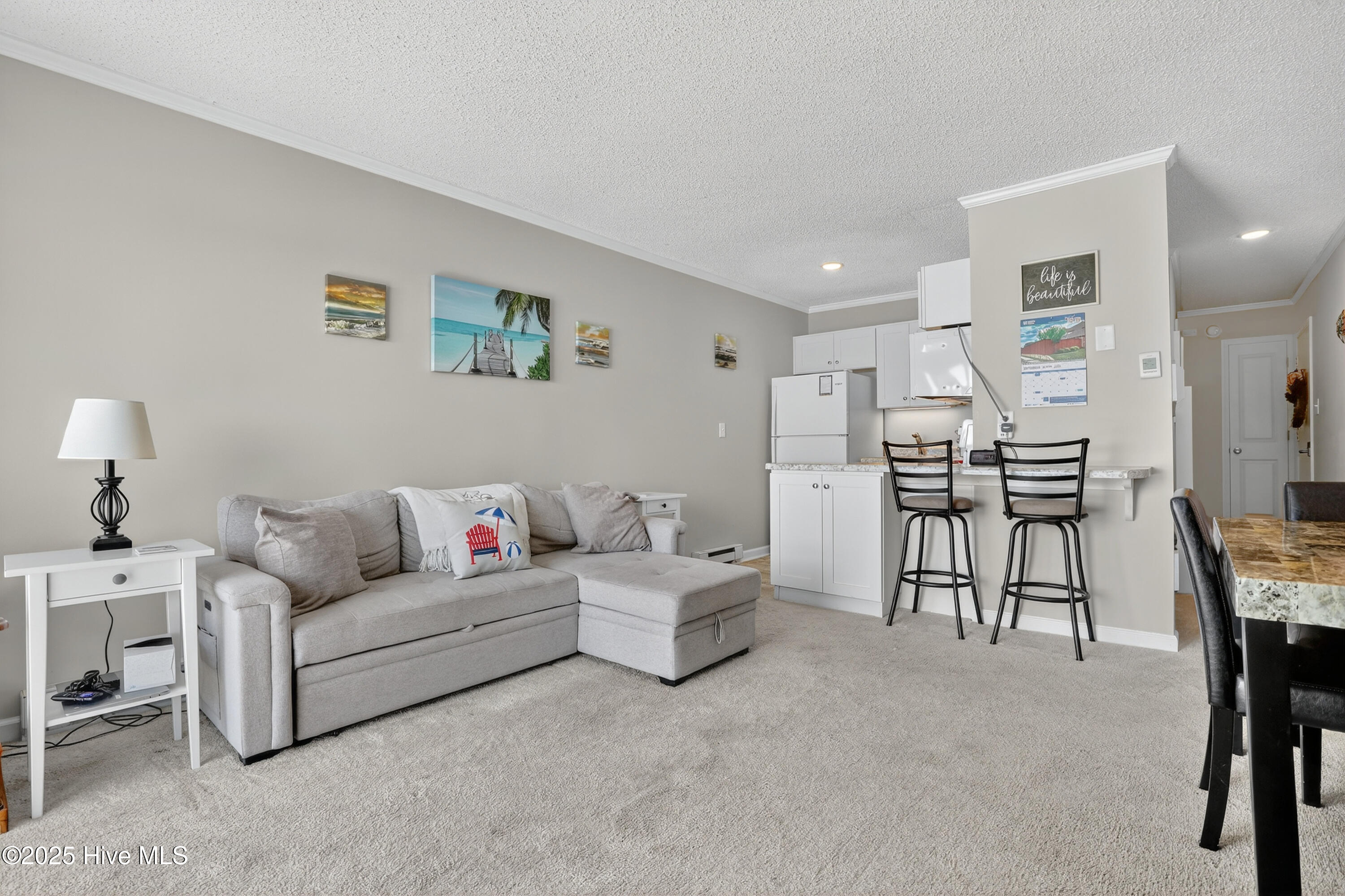 100534180 | Photo 19