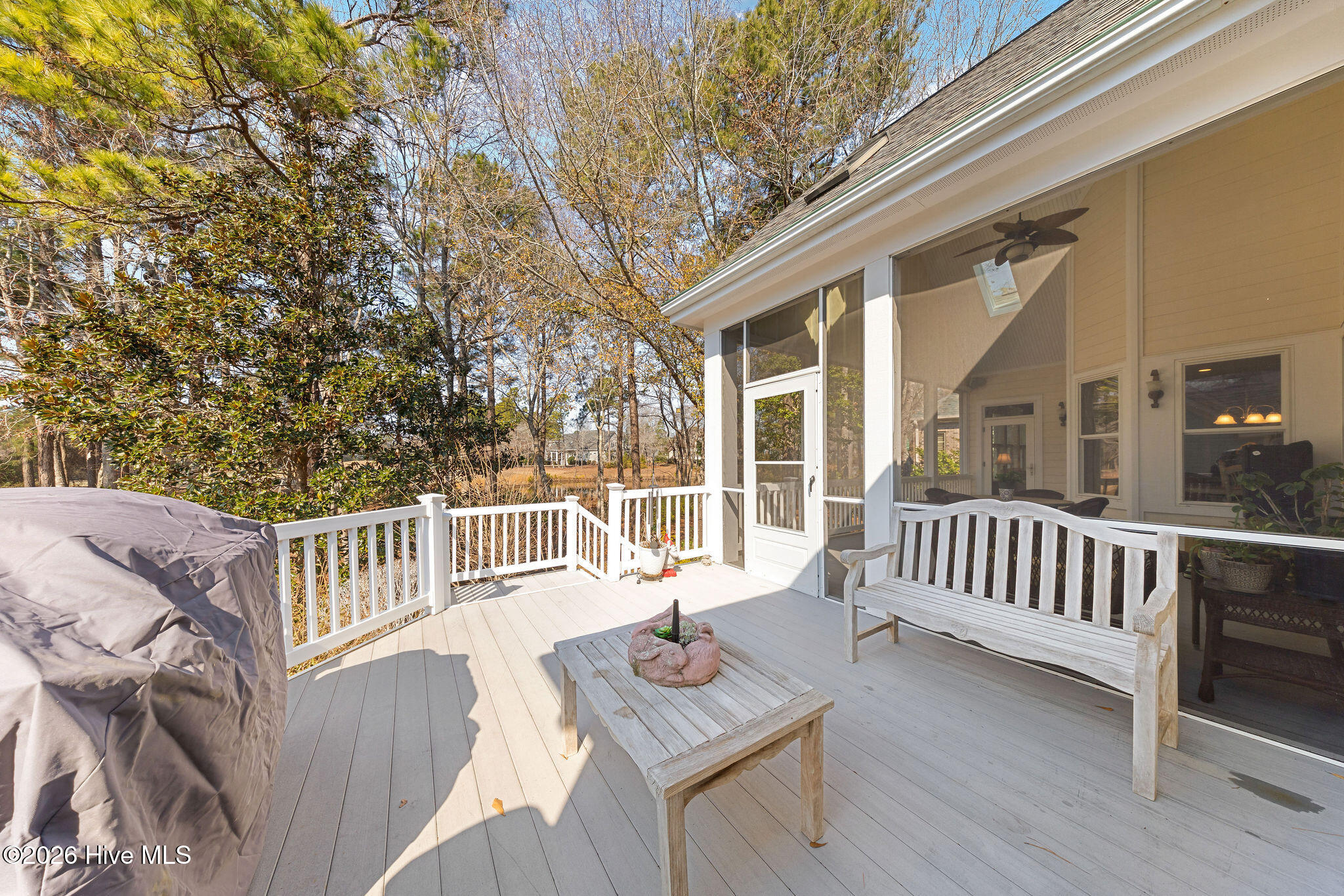 100557018 | Photo 18