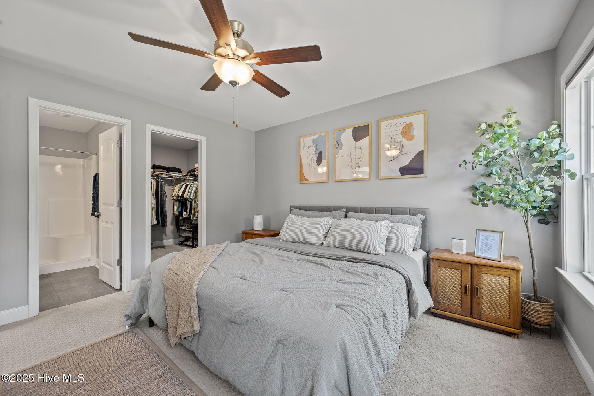 100536269 | Photo 26