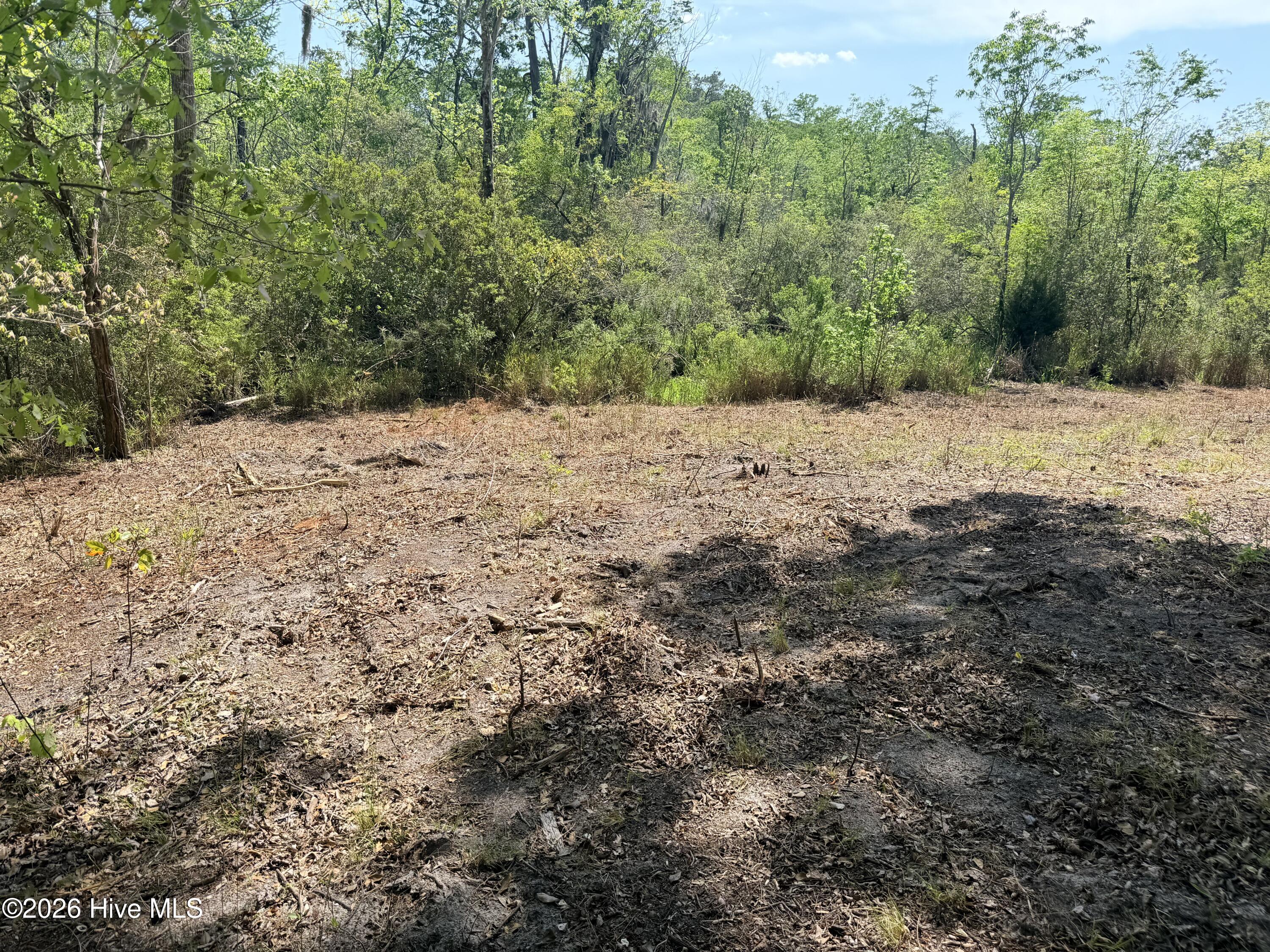 100568145 | Photo 14