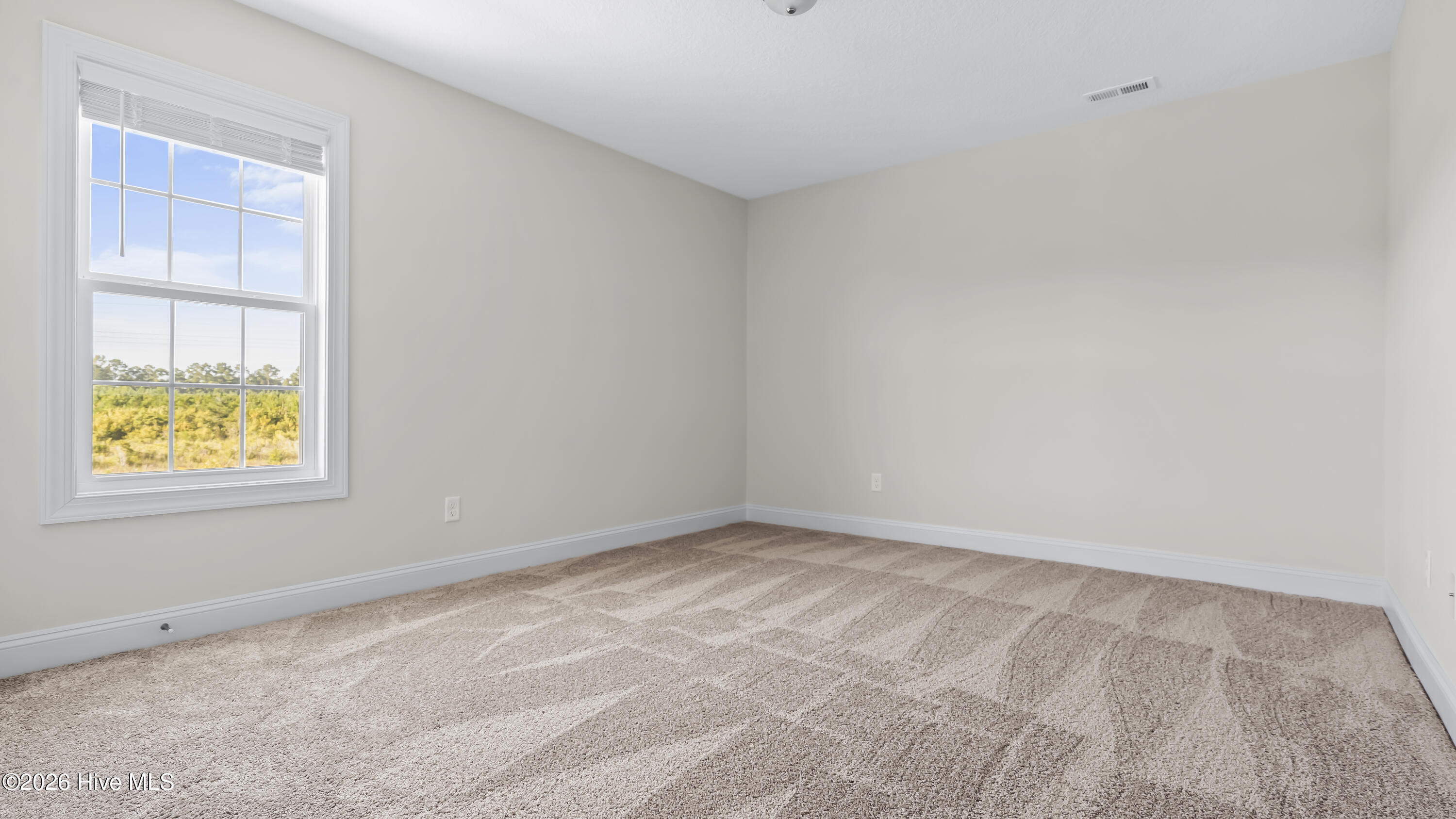 100563871 | Photo 16