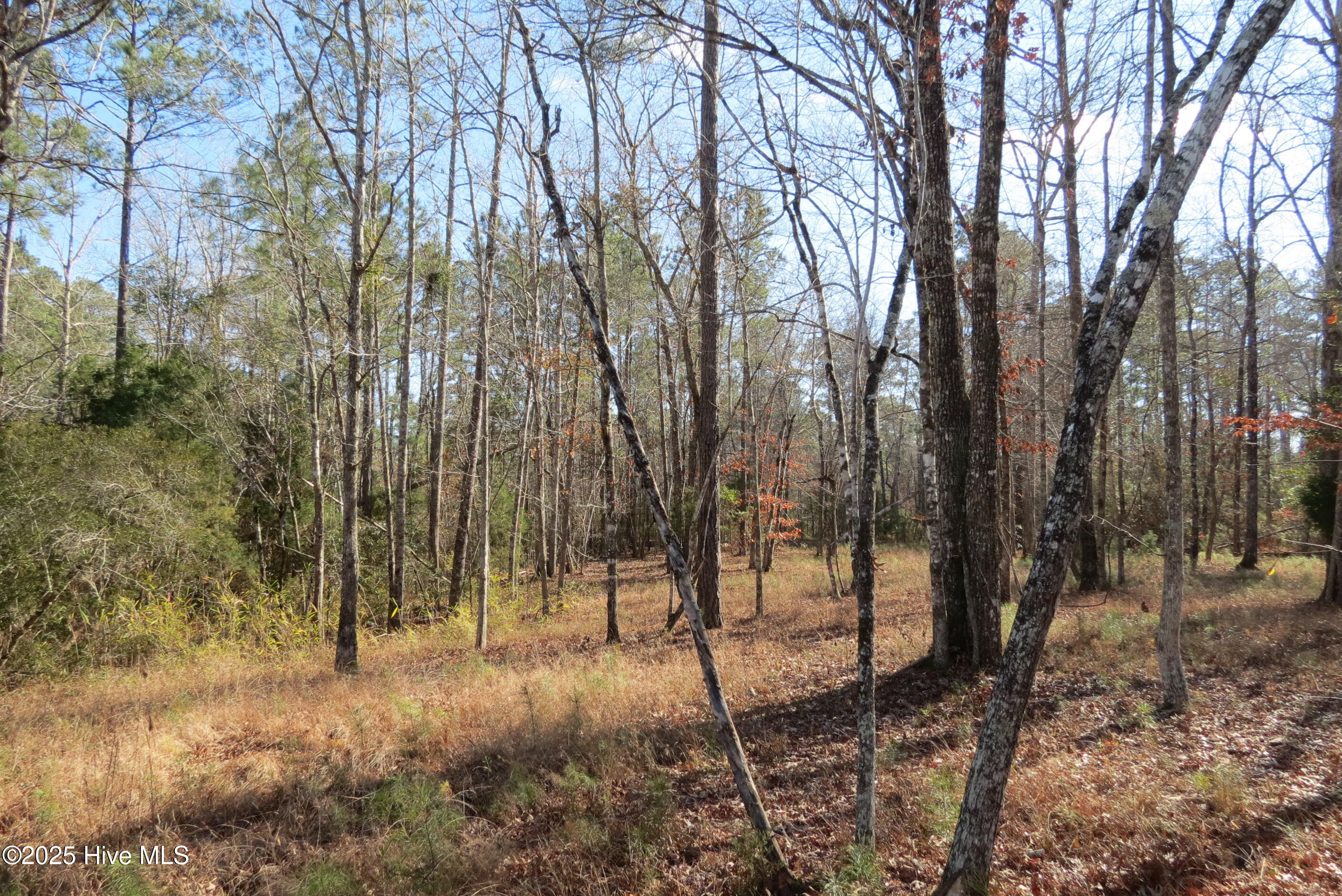 109 Winding Creek Drive, Oriental, NC, 28571