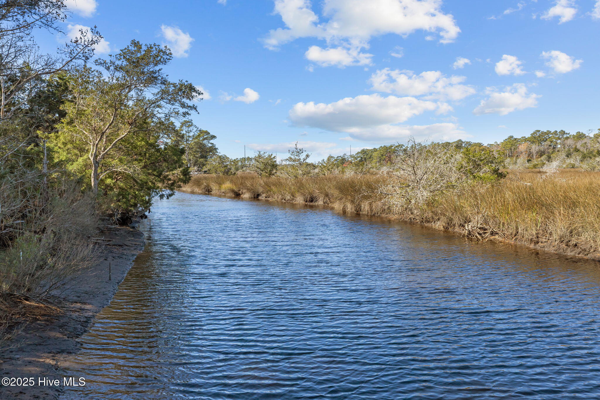 100541543 | Photo 28