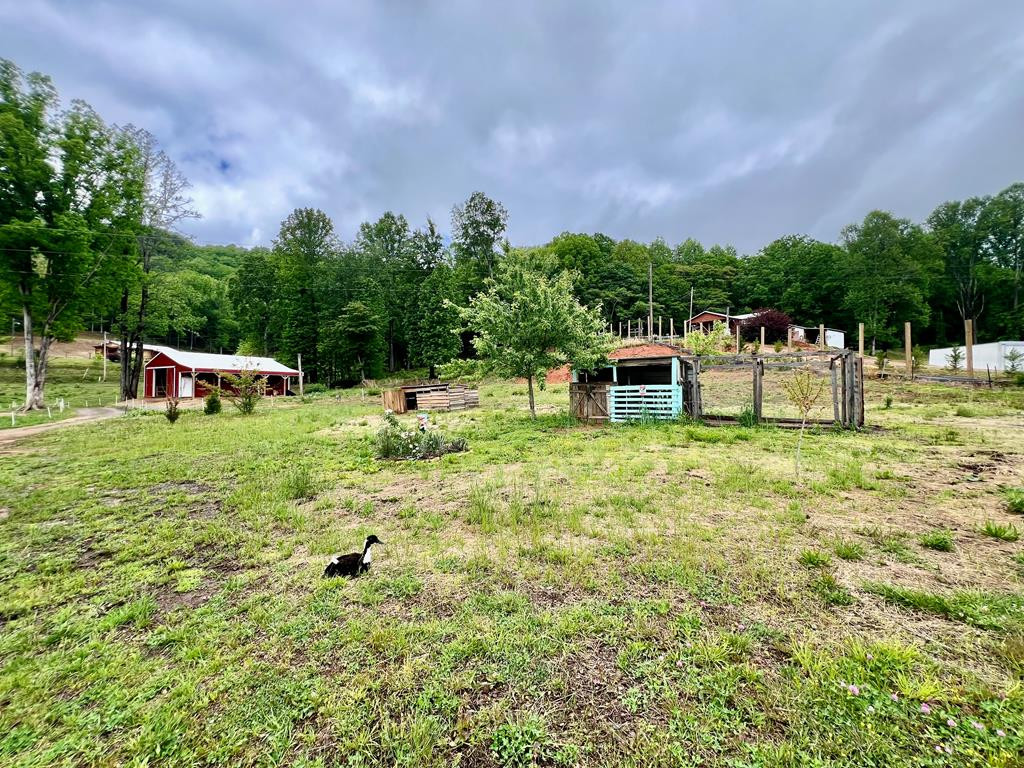 3325 Pack Mountain Road, Murphy, NC 28906 Listing Photo  9