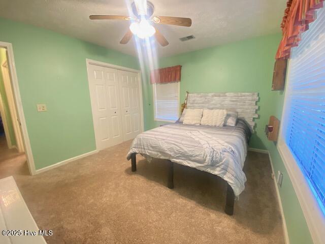 100537292 | Photo 38