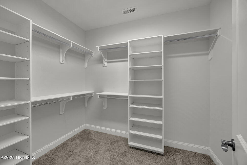 100542116 | Photo 15