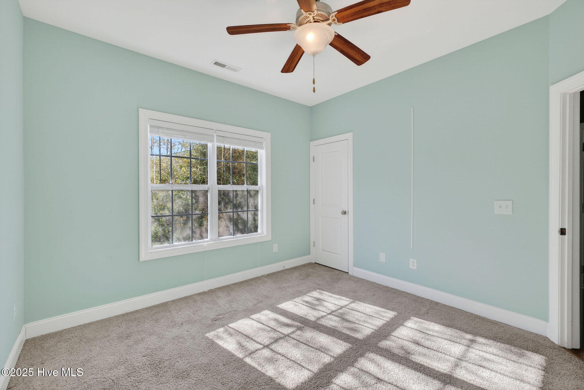 100545937 | Photo 19