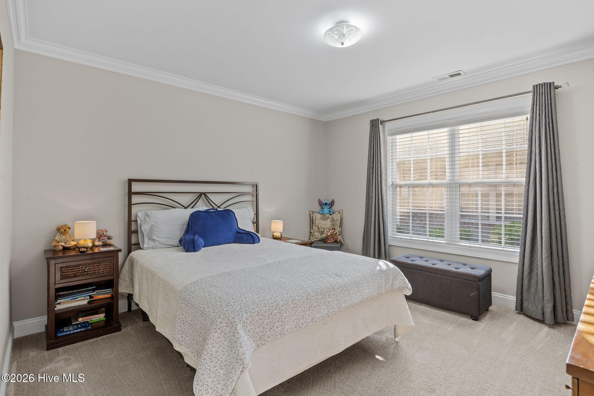 100567034 | Photo 19