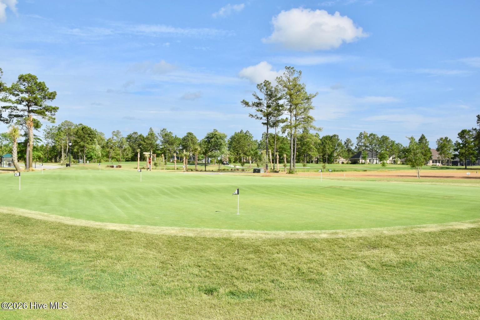 100558232 | Photo 87