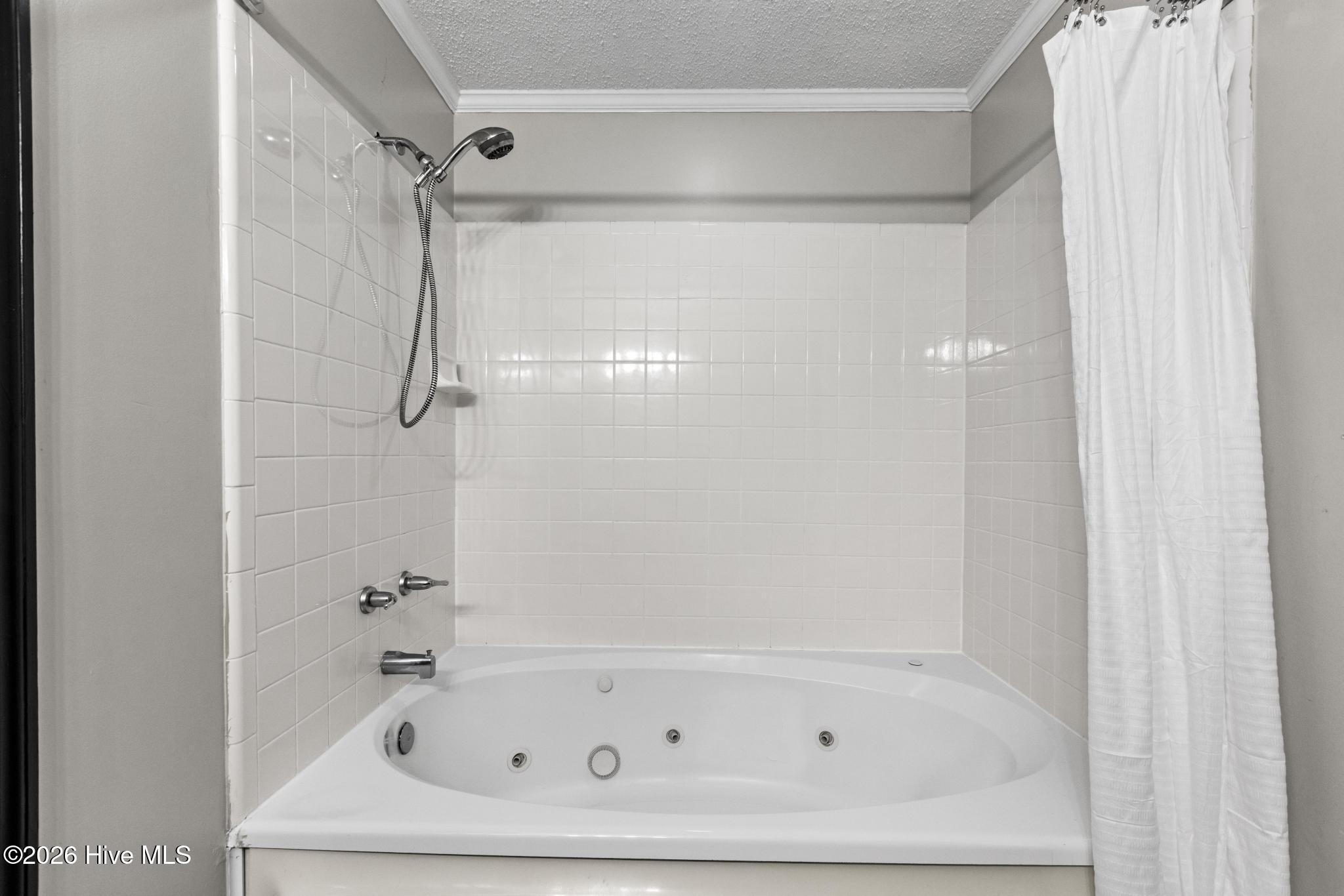 100558586 | Photo 24