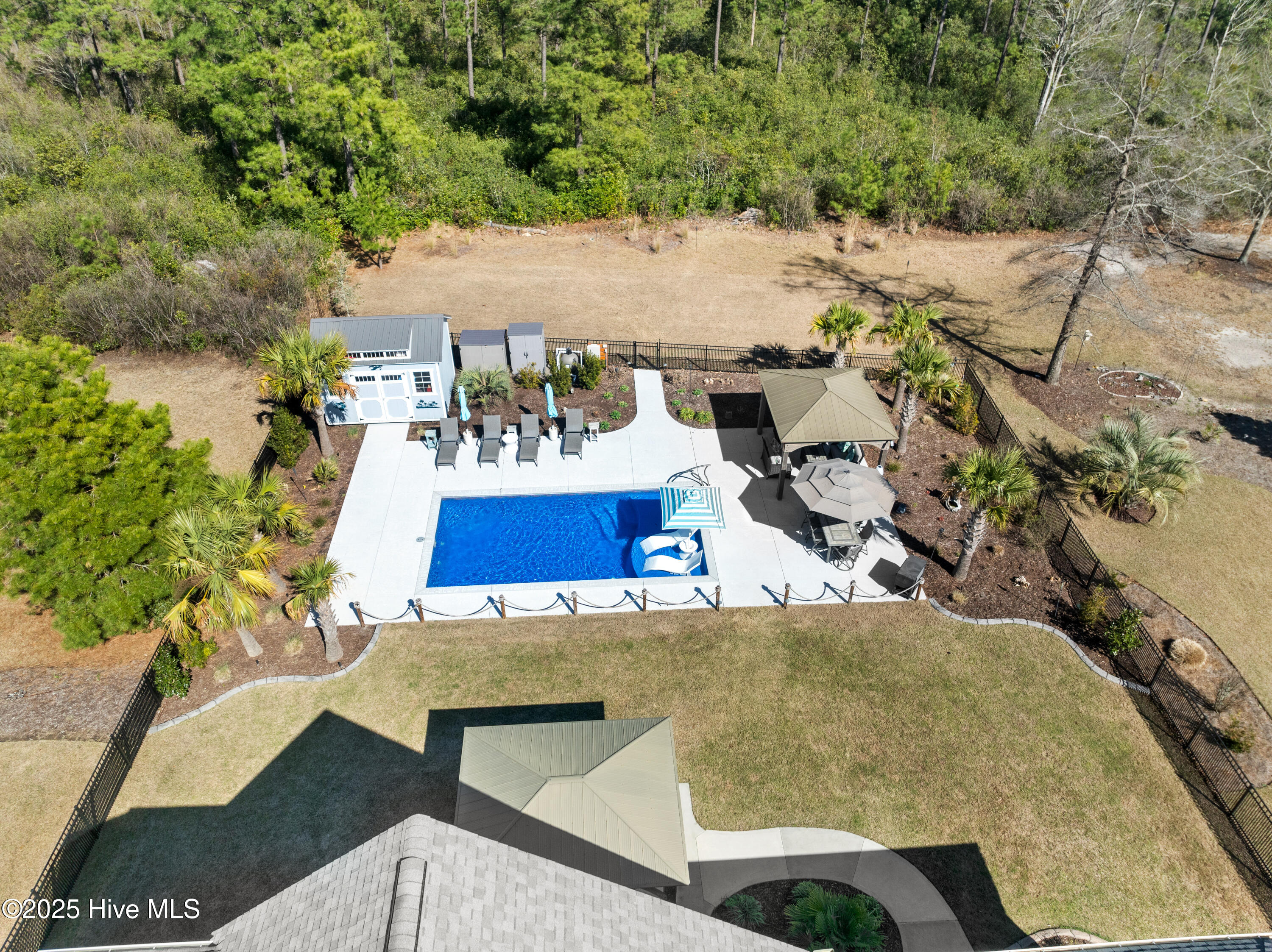 100494528 | Photo 59