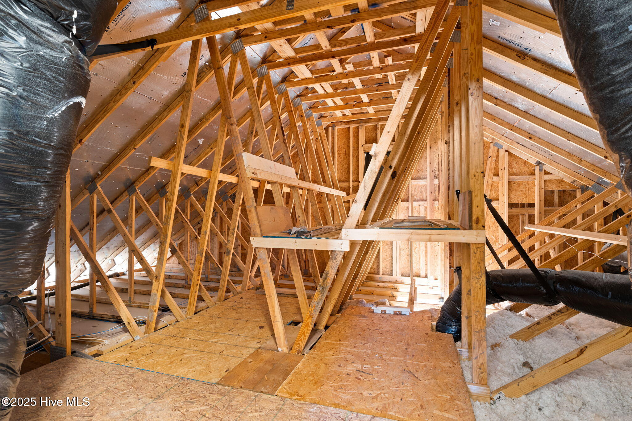 100538184 | Photo 45