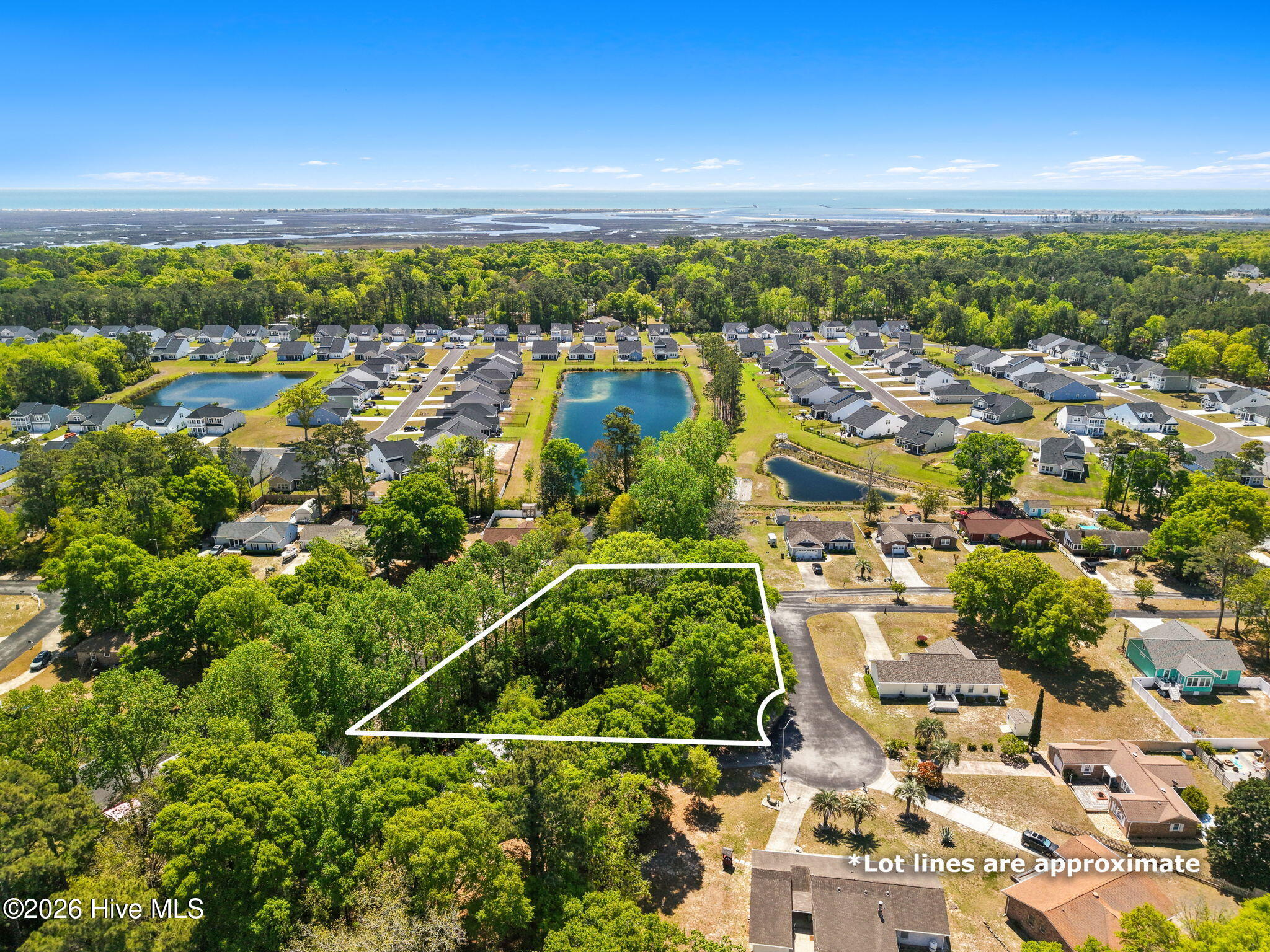 100566837 | Photo 18