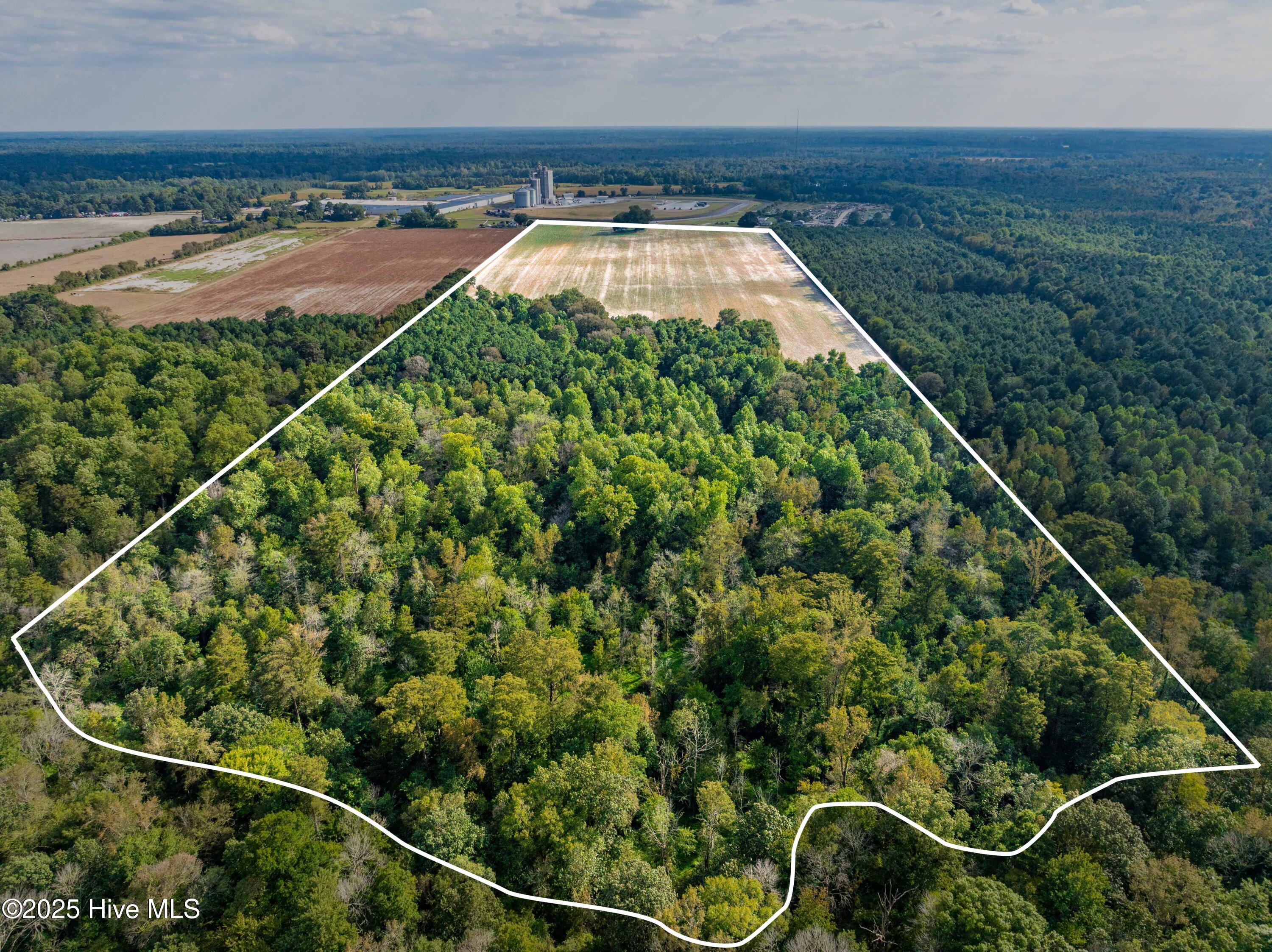 Homes for sale in Turkey, NC | 0 Turkey Hwy, Turkey, NC 28393 | MLS# 100528113