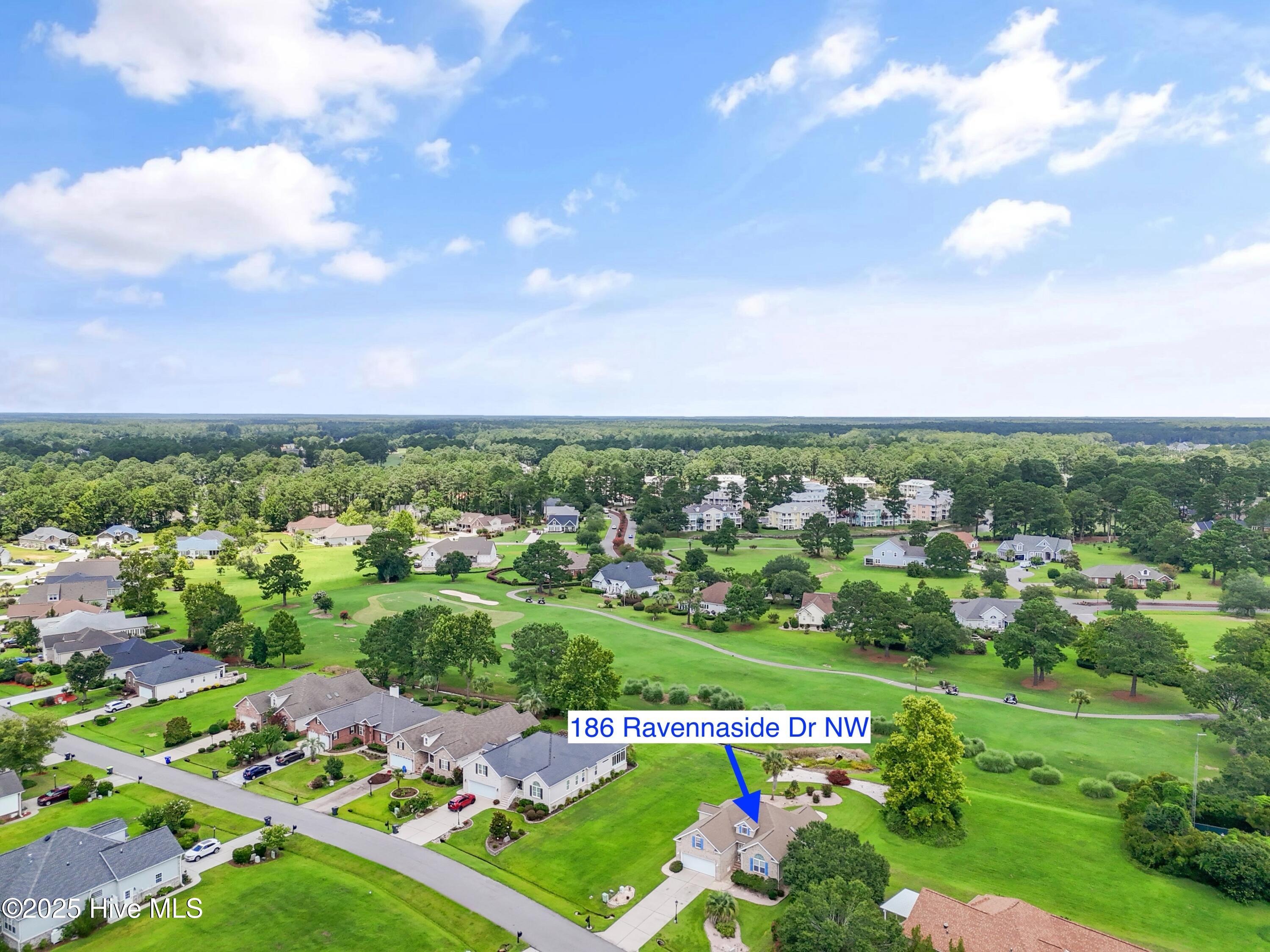 100518385 | Photo 45