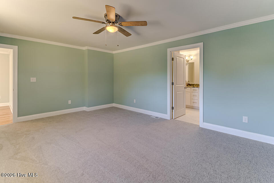 100558677 | Photo 30