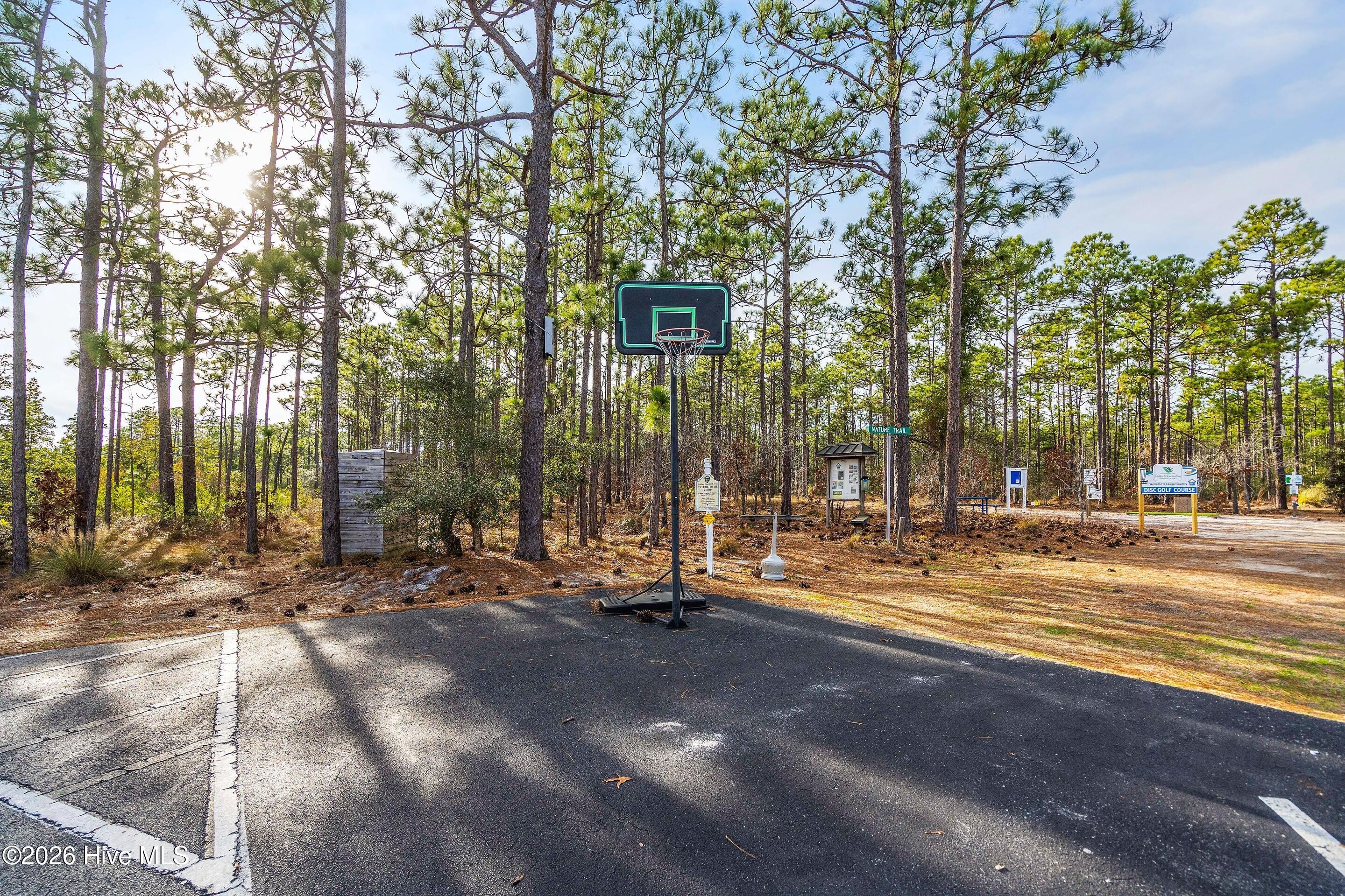 100548335 | Photo 51