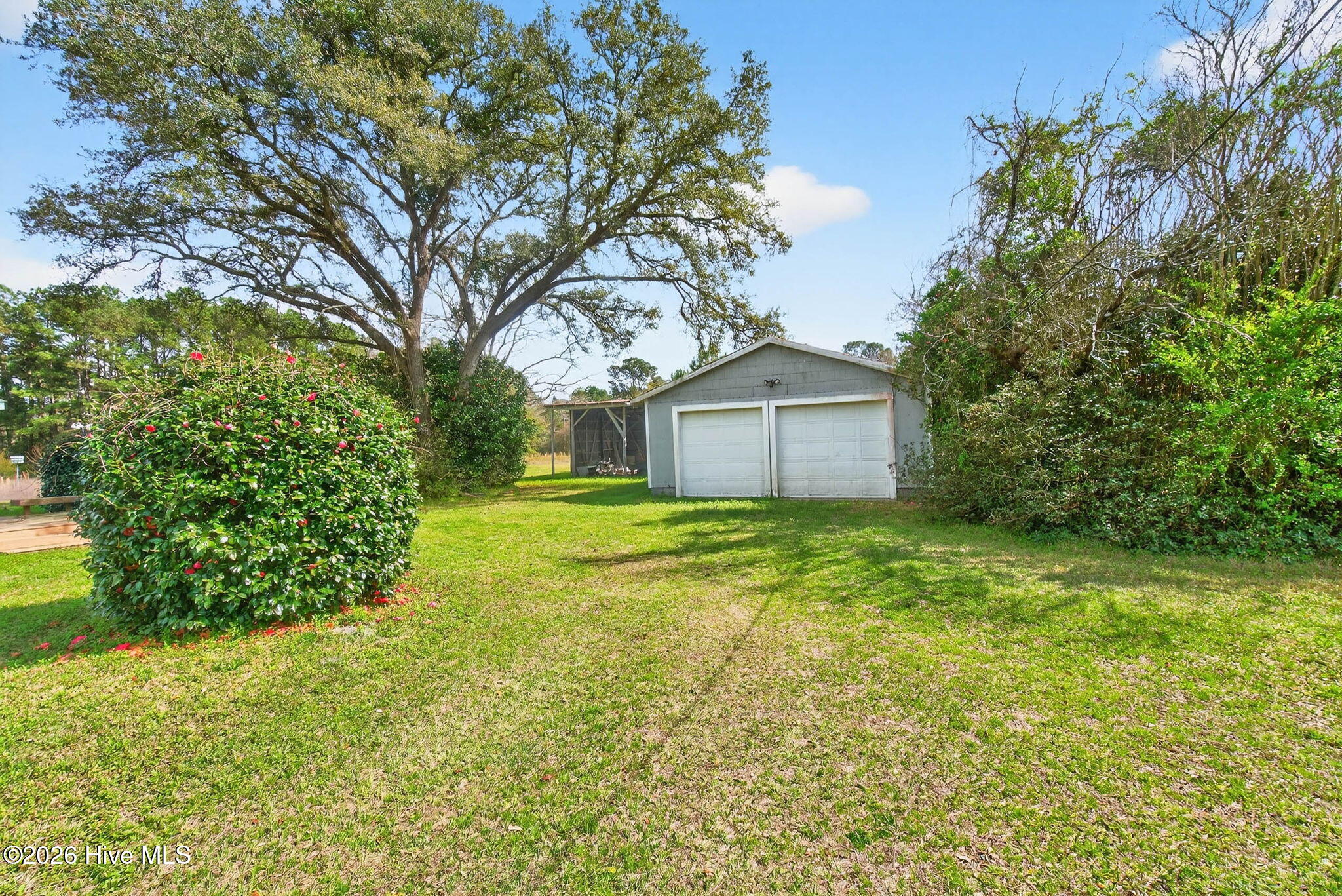 100560729 | Photo 12