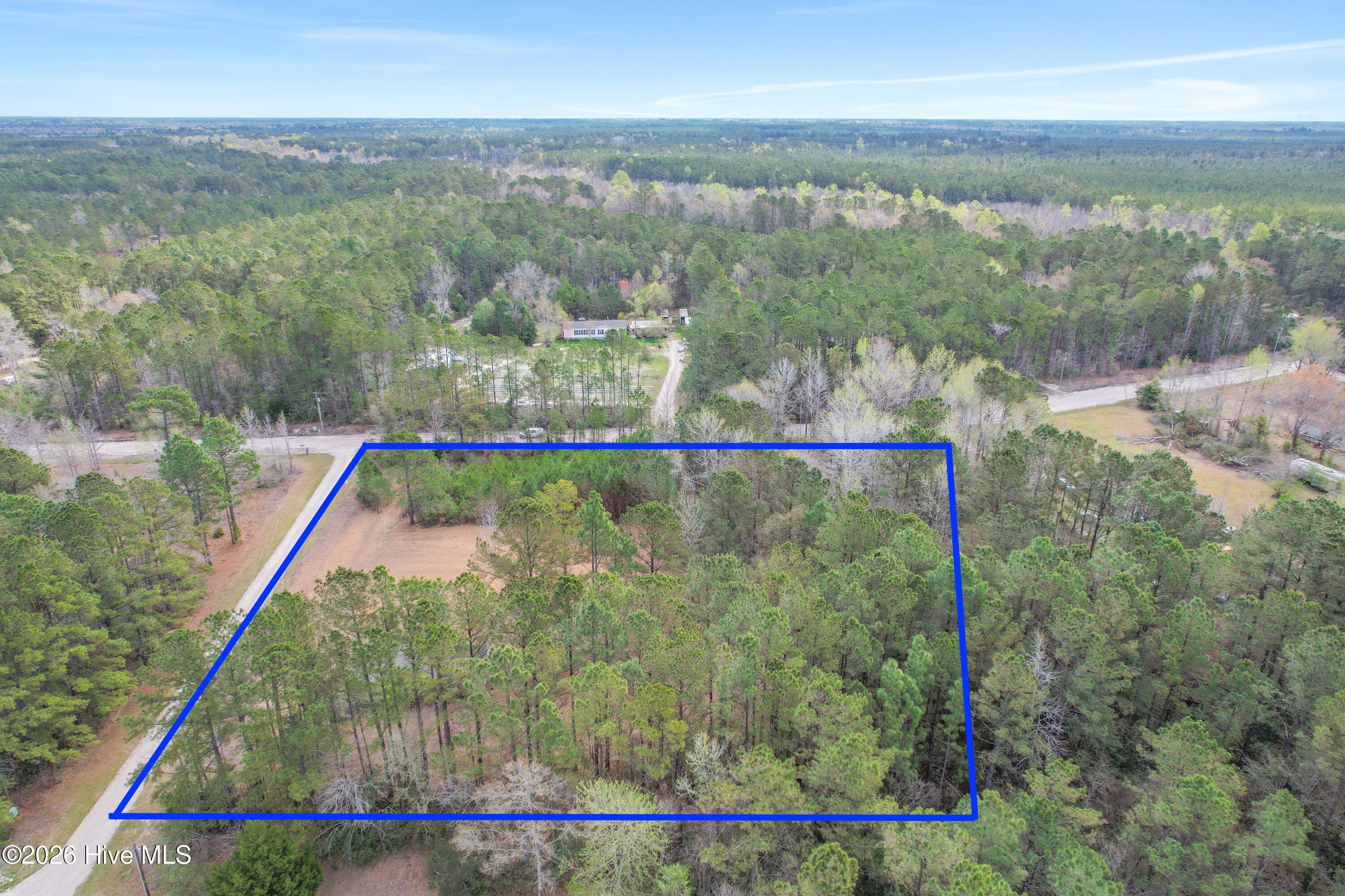 100563116 | Photo 16