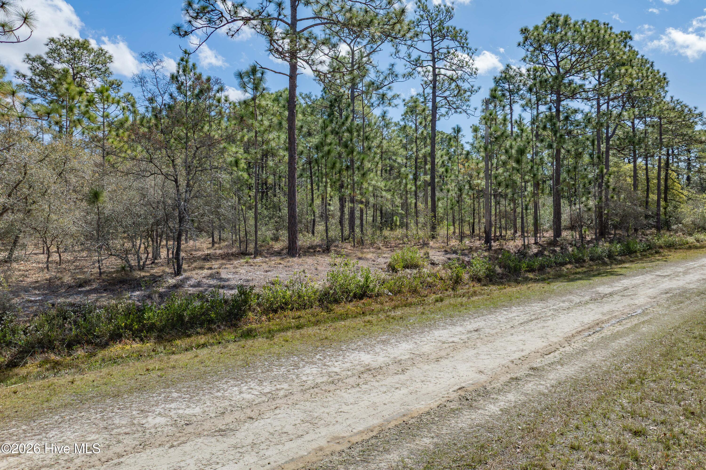 100563736 | Photo 12