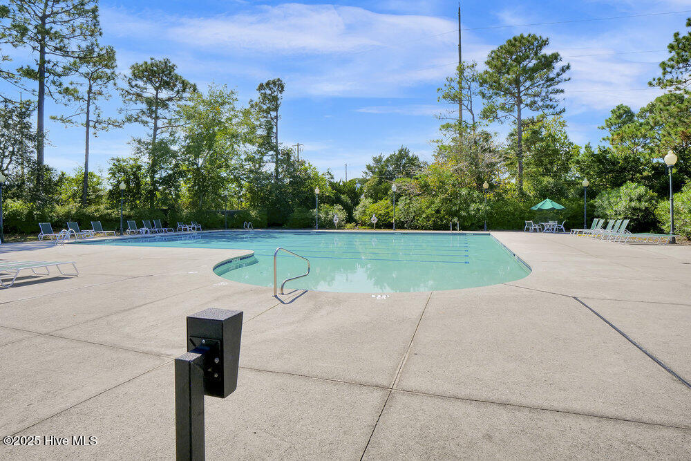 100531667 | Photo 80