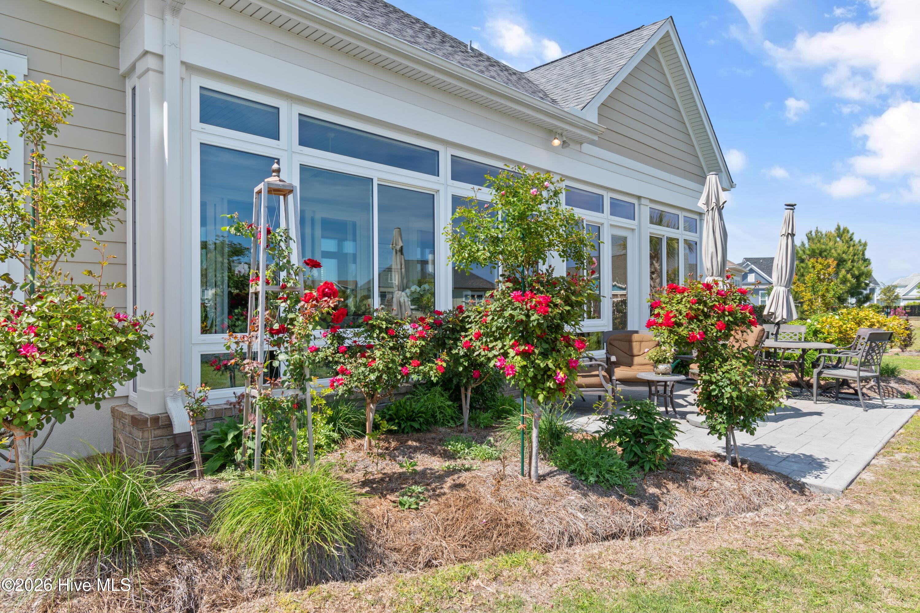 100560288 | Photo 77