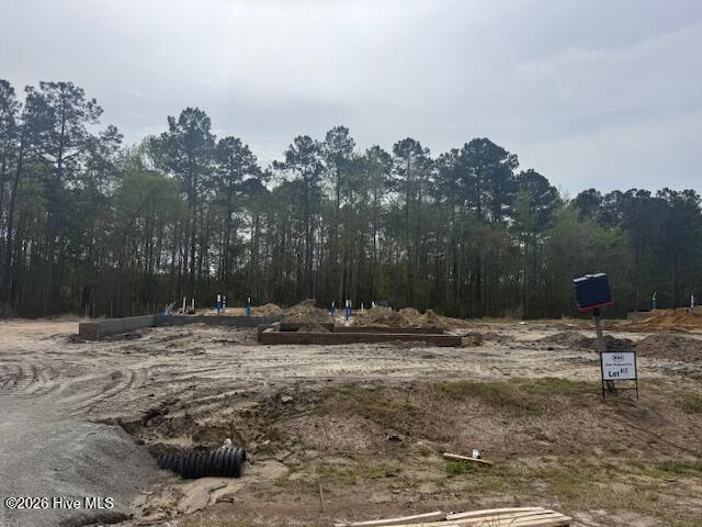 100563430 | Photo 48