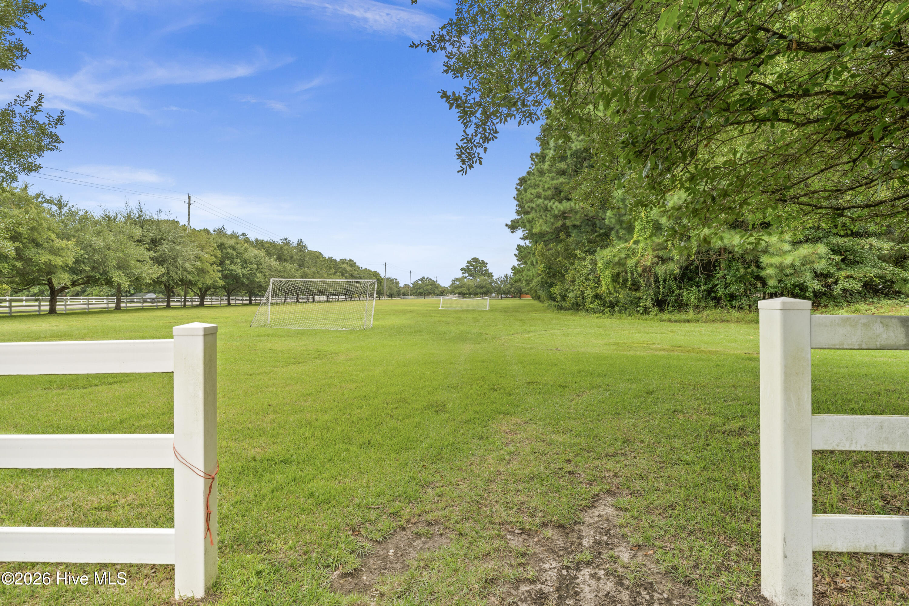 100567527 | Photo 19