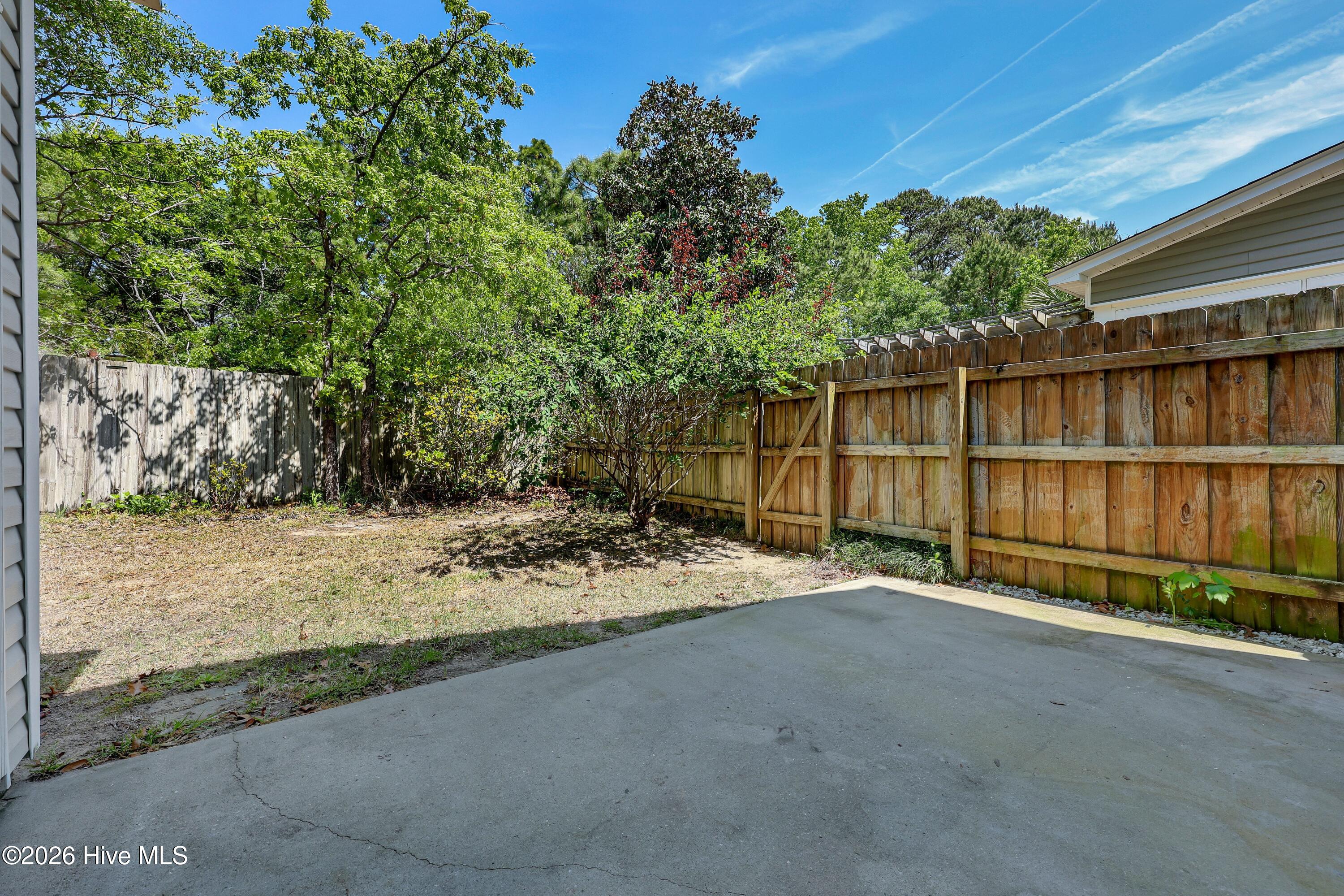 100567851 | Photo 25