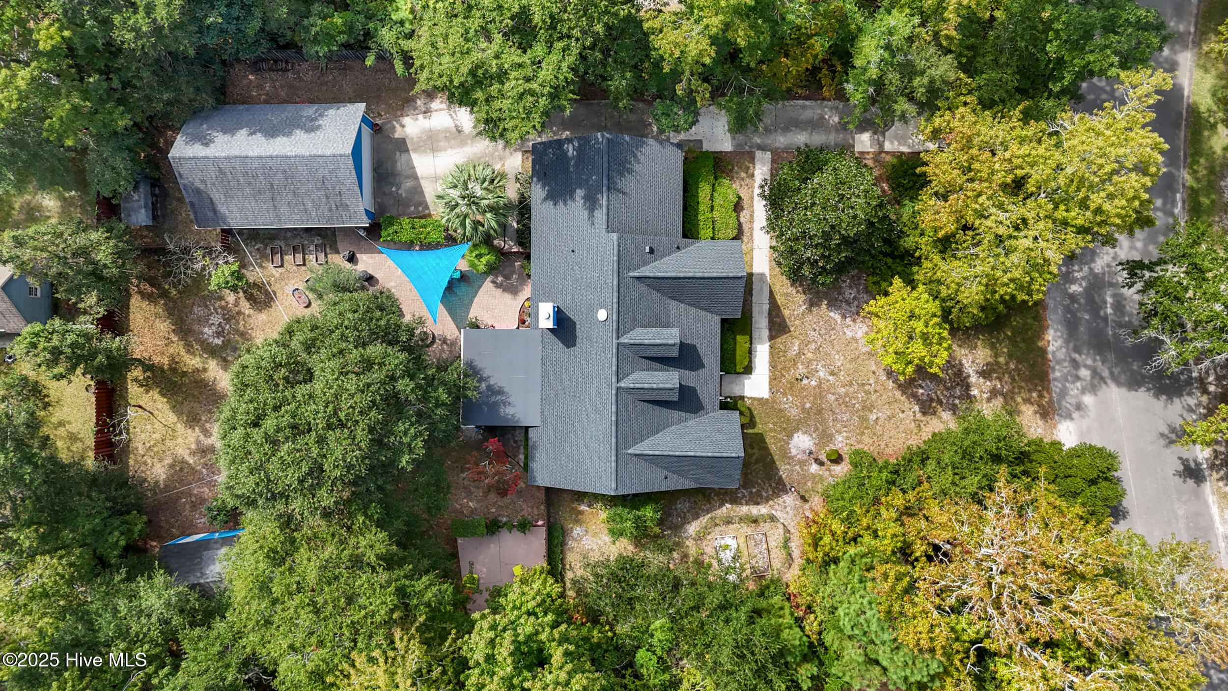 100533907 | Photo 50